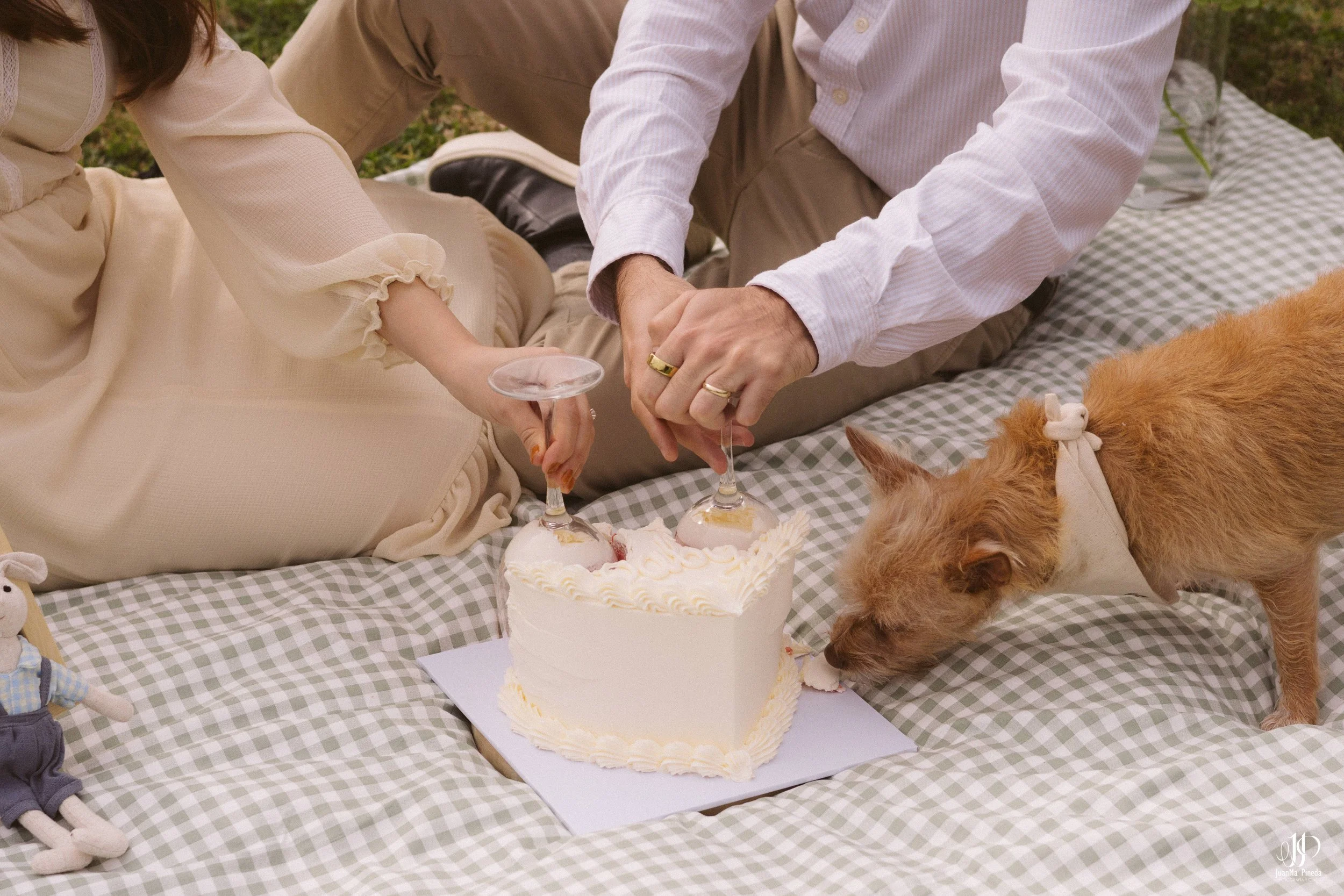 Sex Reveal Session-13.jpg