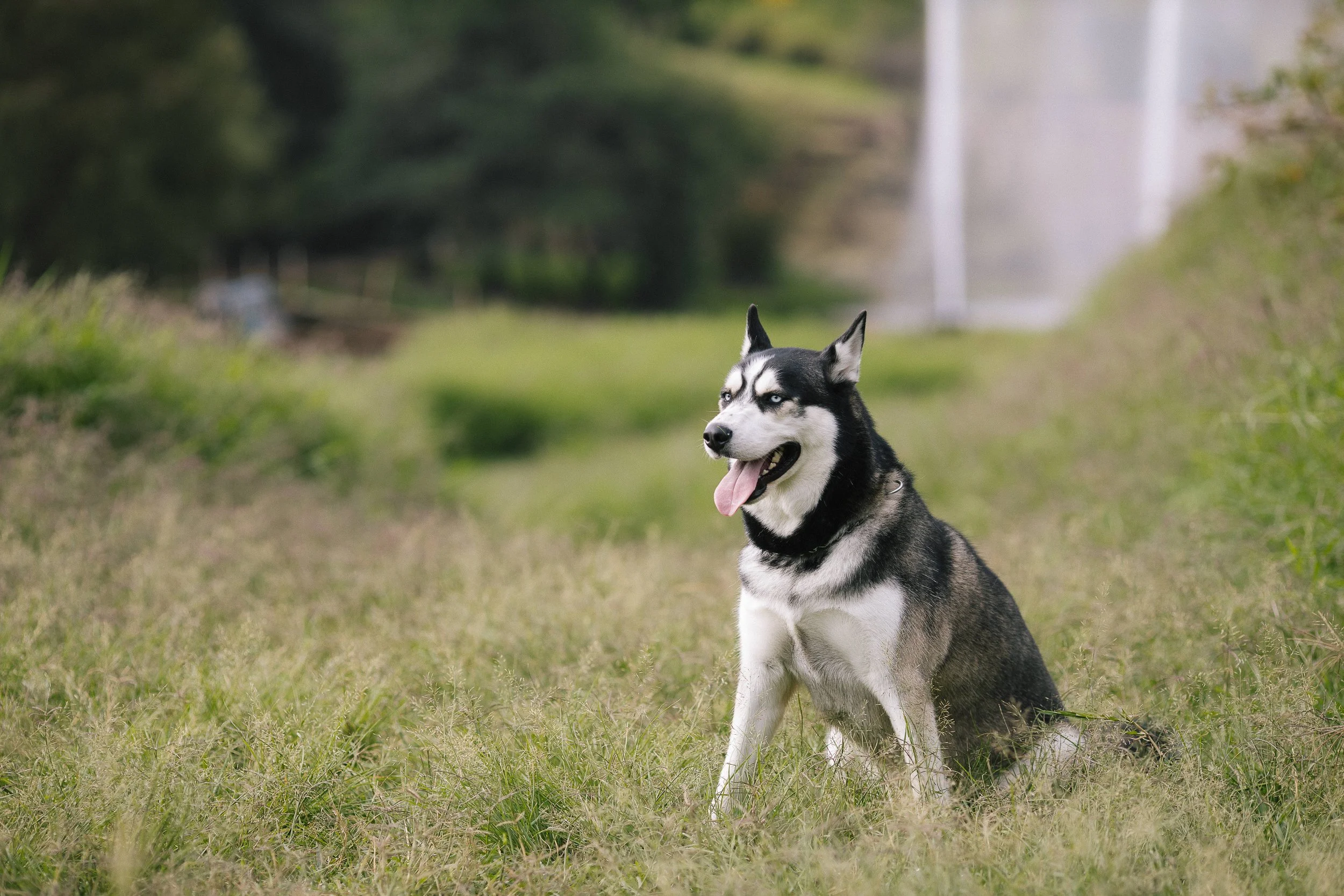 Fotos de familia inolvidables en el Parque Bicentenario Puente de Calderón