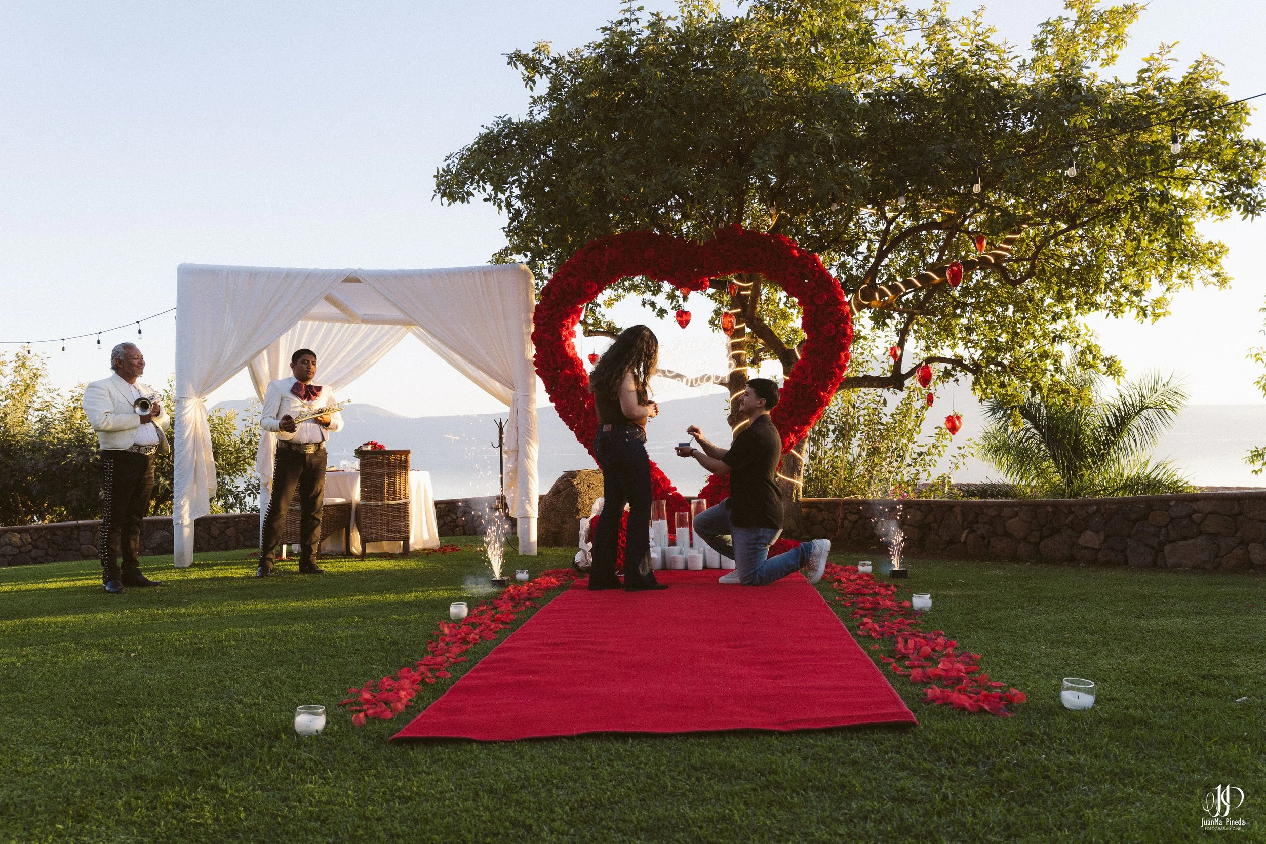 Pedida de mano-5.jpg