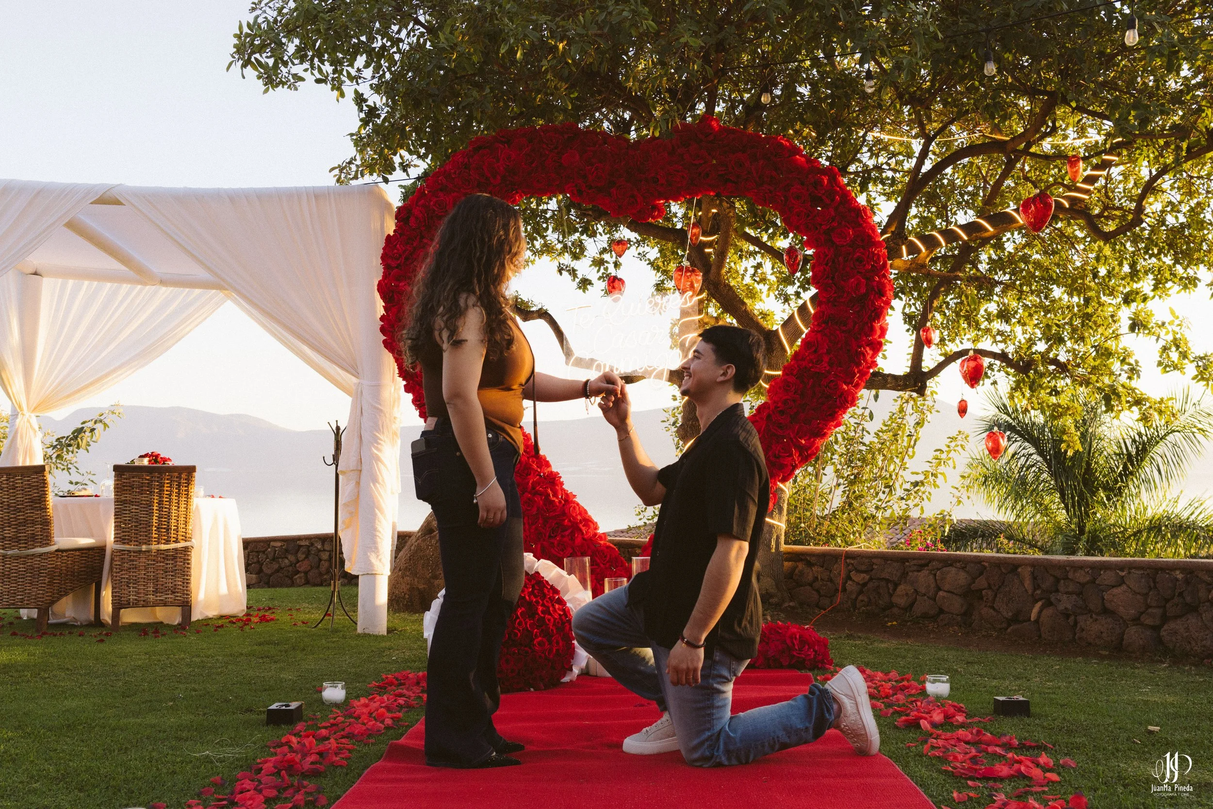 Pedida de mano-6.jpg