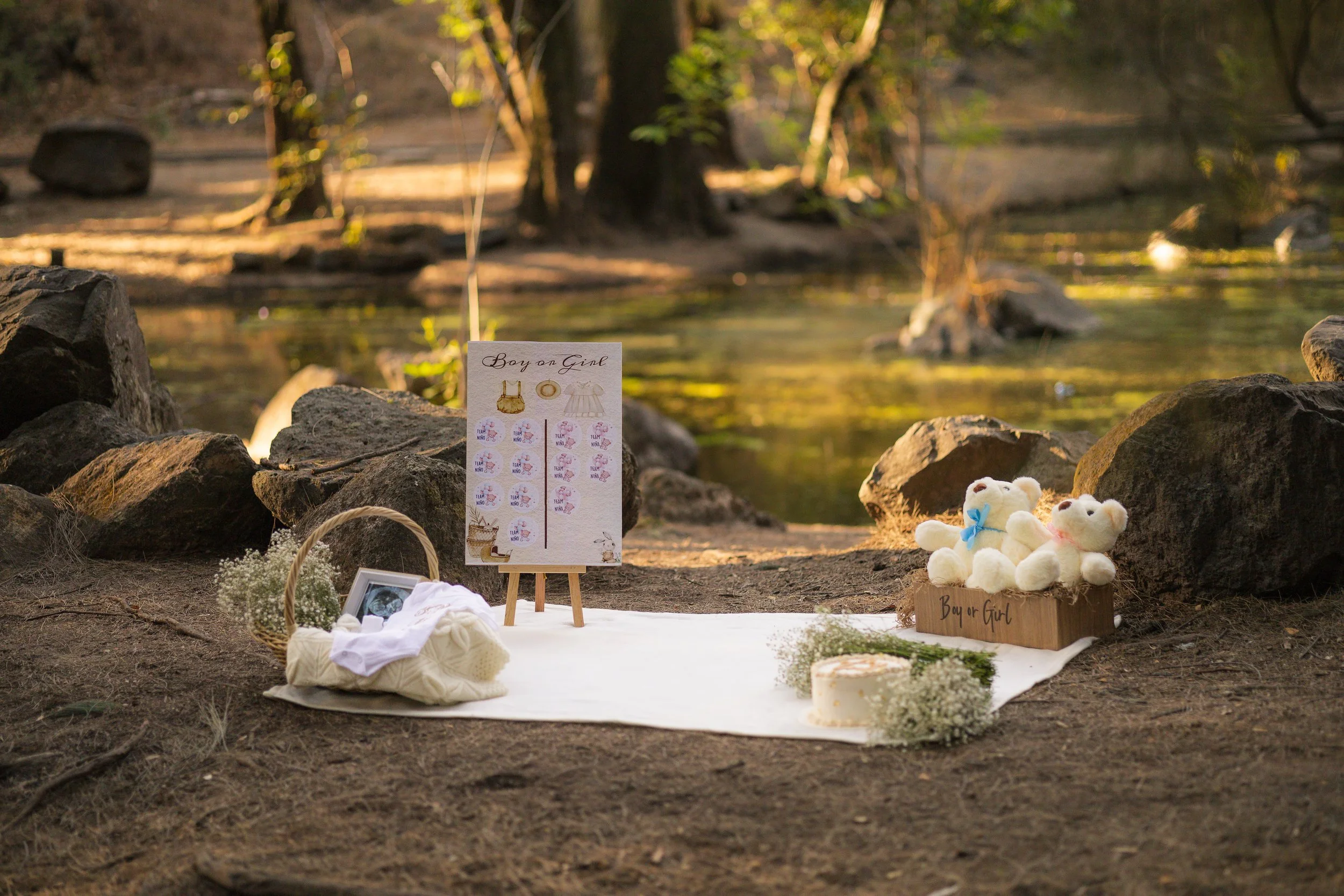 Gender Reveal Bosque Colomos-13.jpg