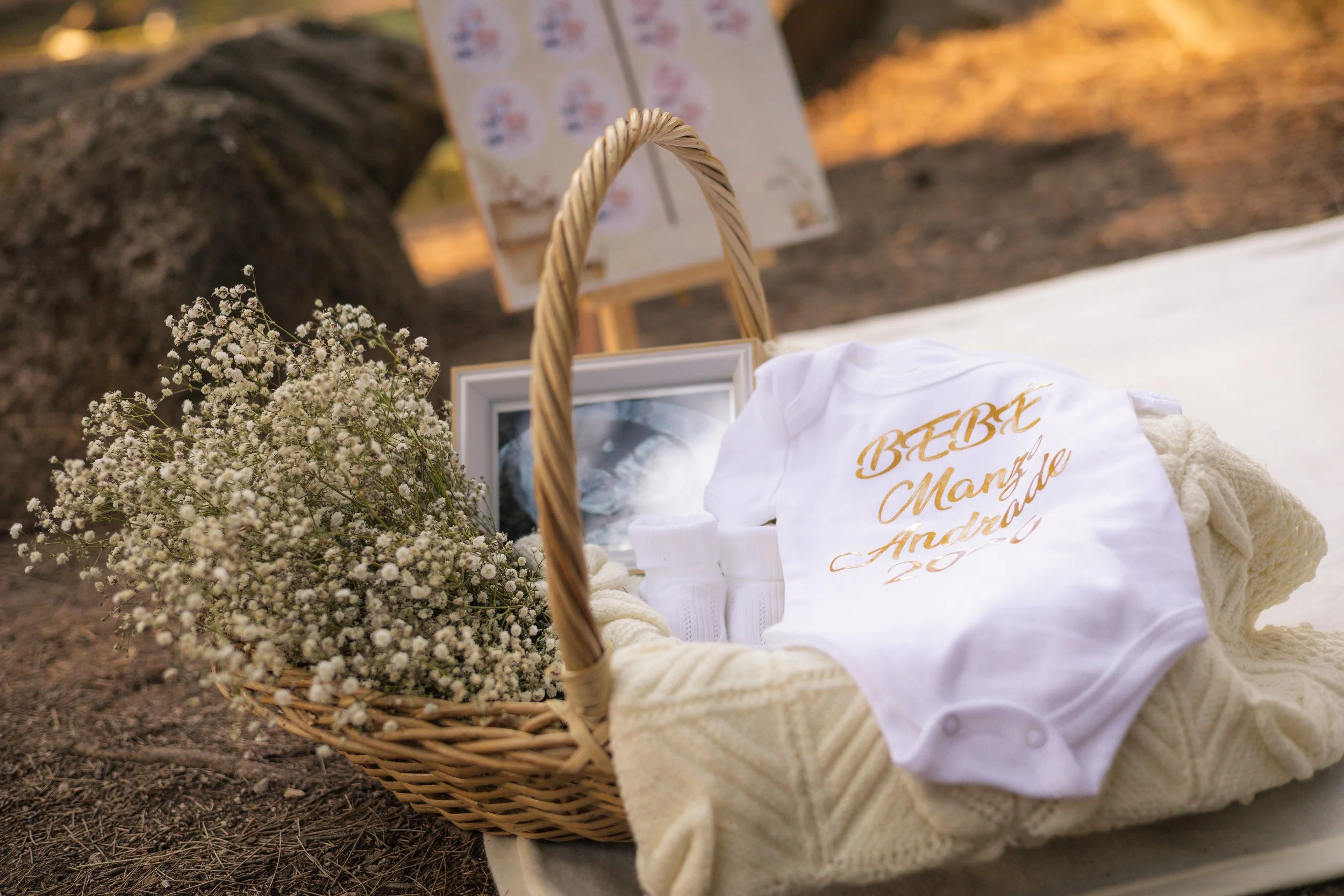 Gender Reveal Bosque Colomos-14.jpg