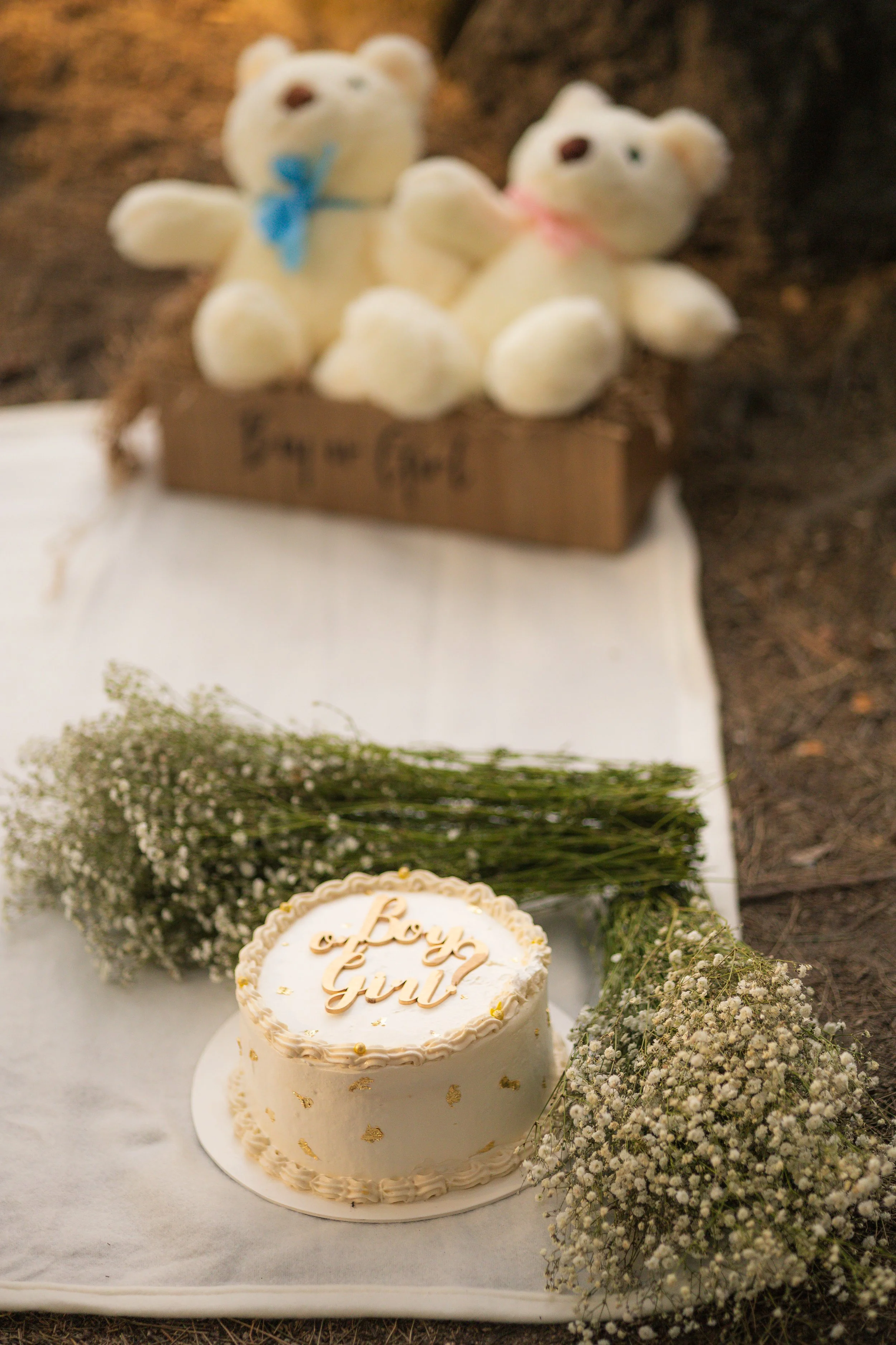 Gender Reveal Bosque Colomos-16.jpg