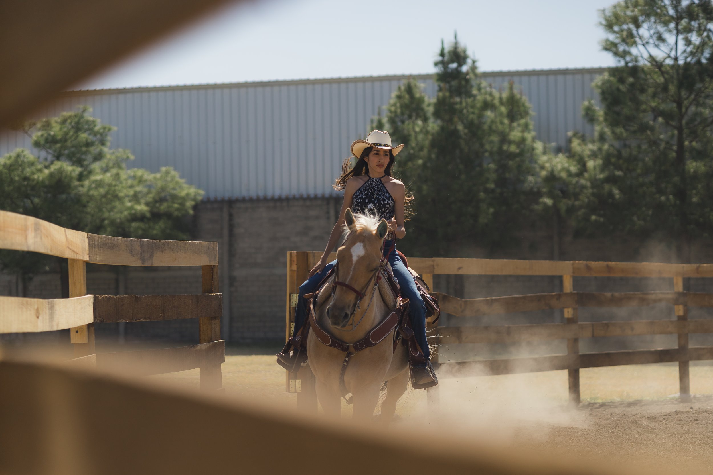 Quinceañera en el Rancho: Un Día de Ensueño en Tlajomulco con Caballos