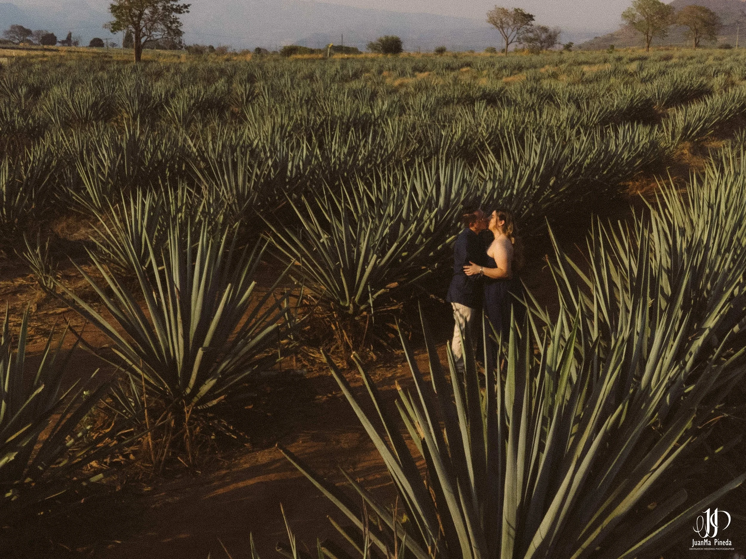 Preboda+Fotografía+Tequila-23.jpg