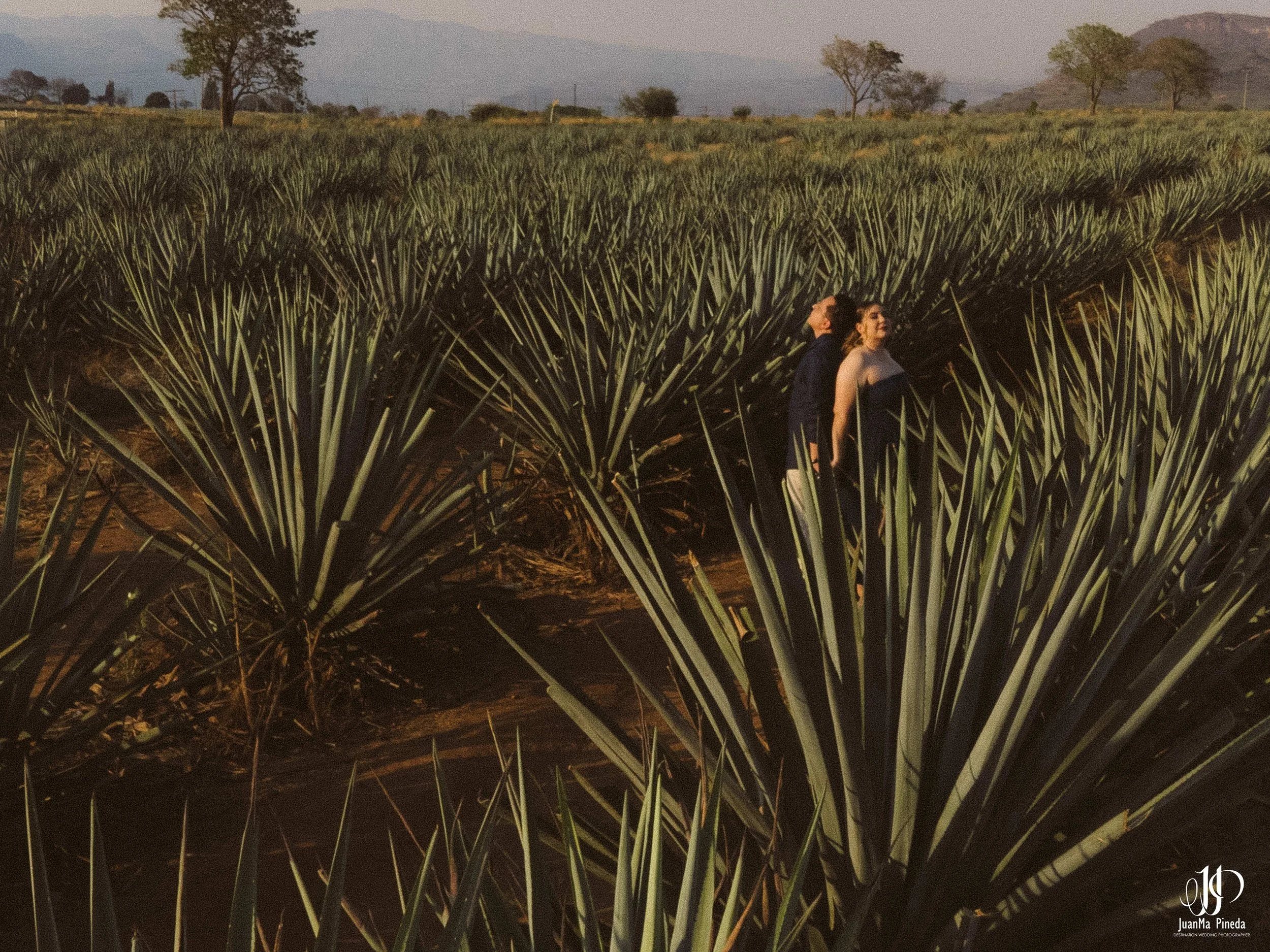 Preboda+Fotografía+Tequila-24.jpg