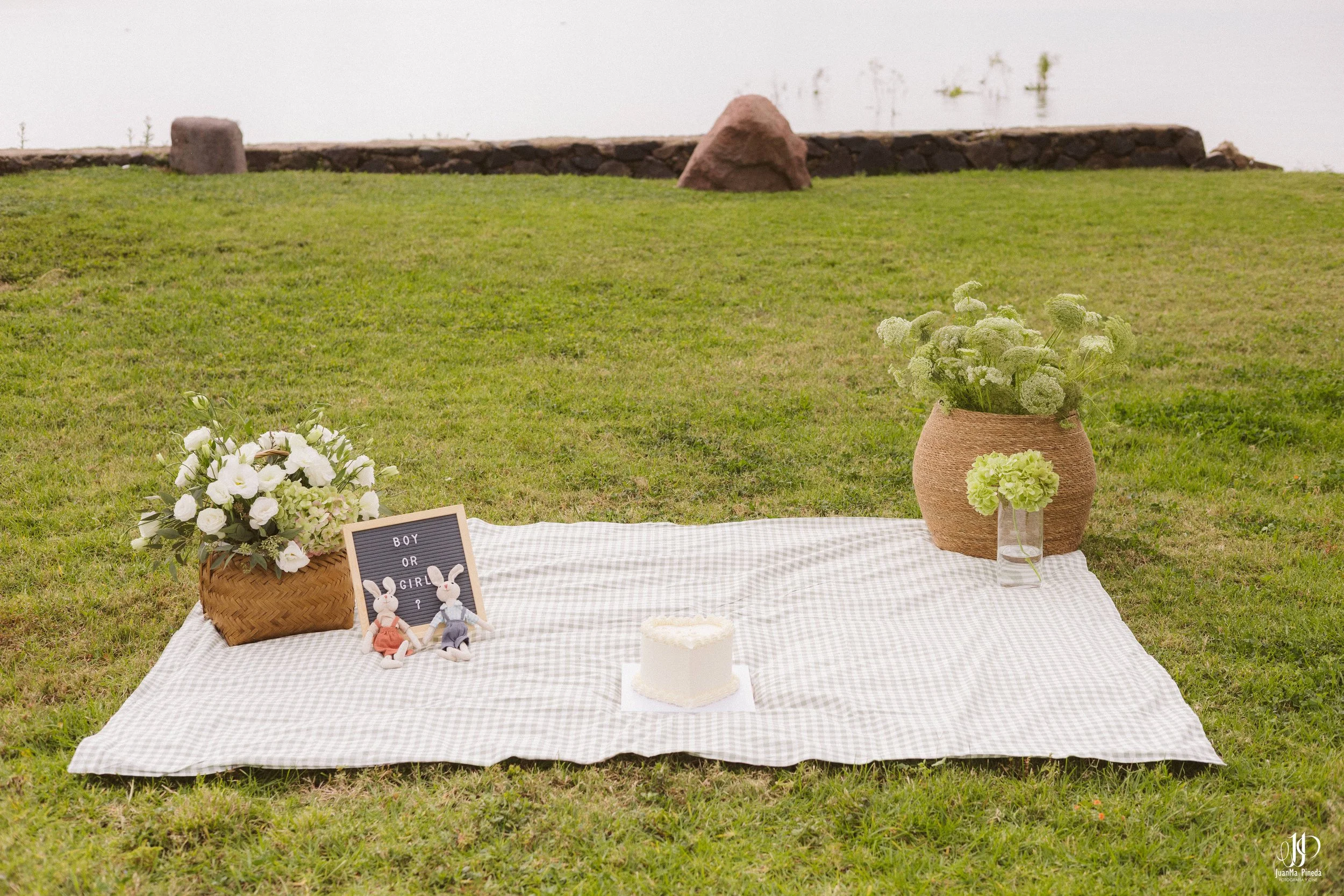 Sex Reveal Session-2.jpg