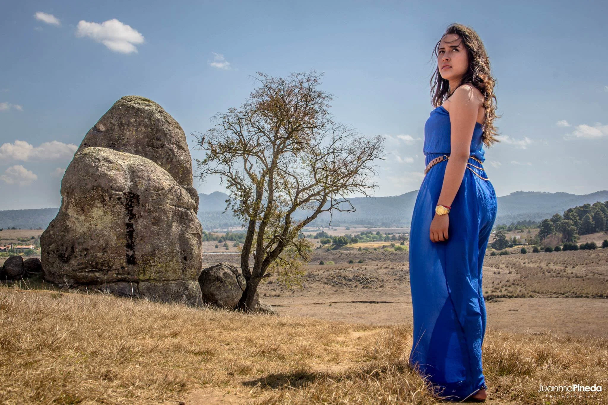 Mujer con vestido azul de pie en un paisaje natural con una gran roca y un árbol barren en el fondo.
