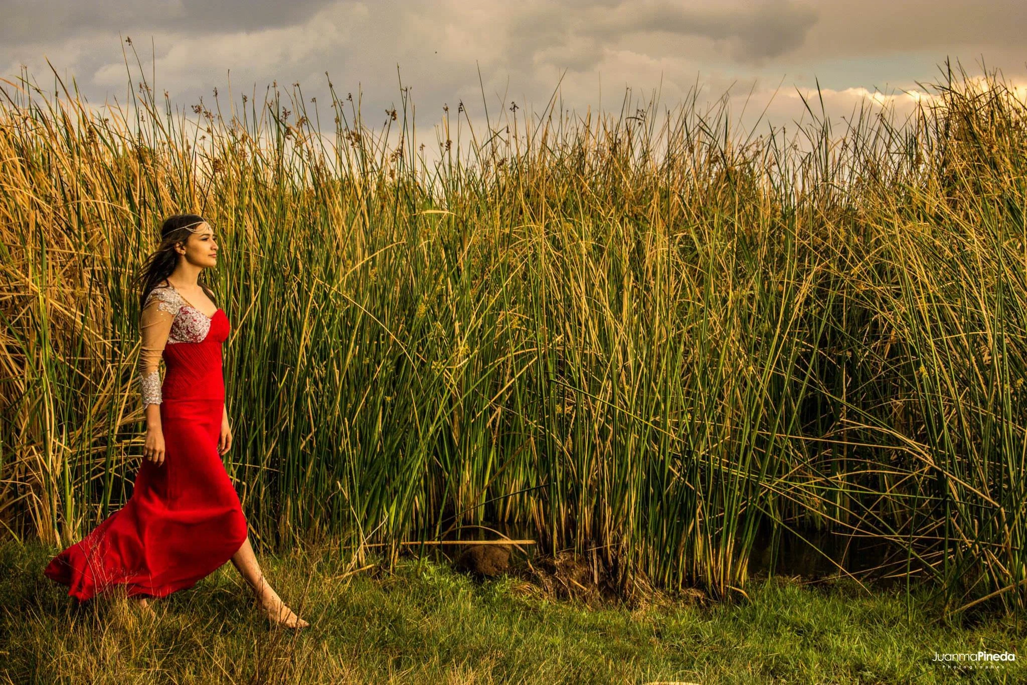 Mujer con vestido rojo caminando por un campo lleno de juncos altos, cielo nublado en el fondo.