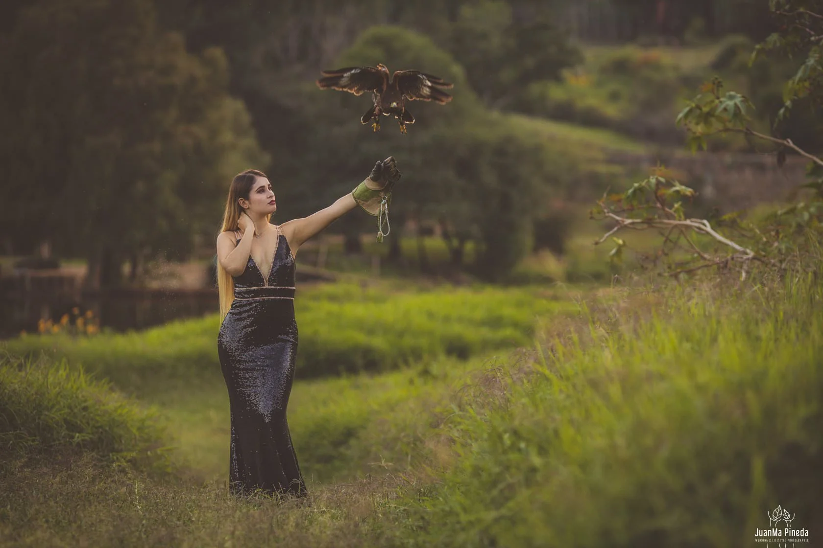 Mujer con vestido negro y guante de cetrería, liberando un halcón en un paisaje natural.