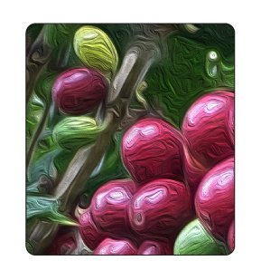 HM_AaF_Heirloom3.jpg