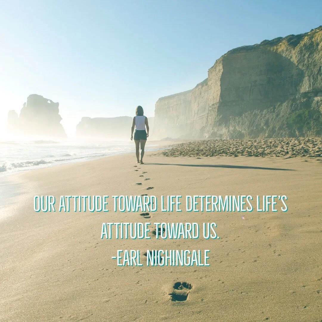 Perspective is everything. Then lens we view life has a direct effect on our happiness. Both happiness and the lens we use are a choice&mdash; choose to thrive! 🤍

#positivevibes #selfdevelopment #businesscoaching #business #lifecoachinghappiness #r