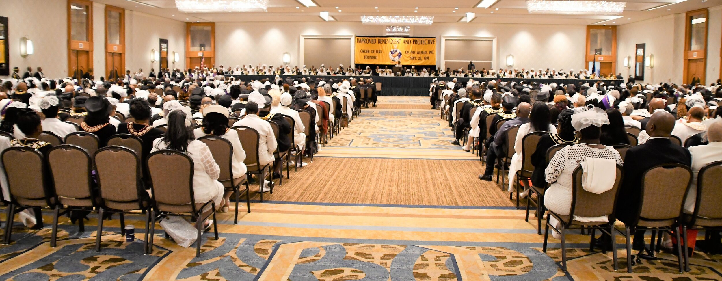 Terry 8-modified.jpg