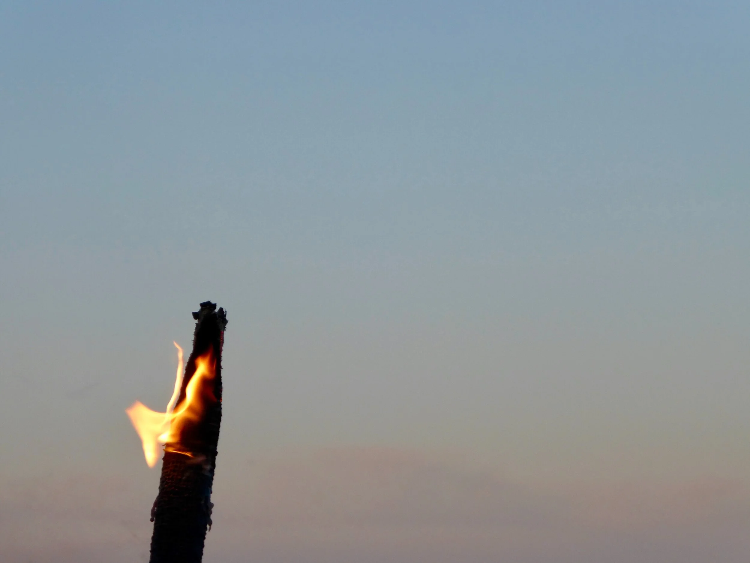 2 Timothy Header.jpg