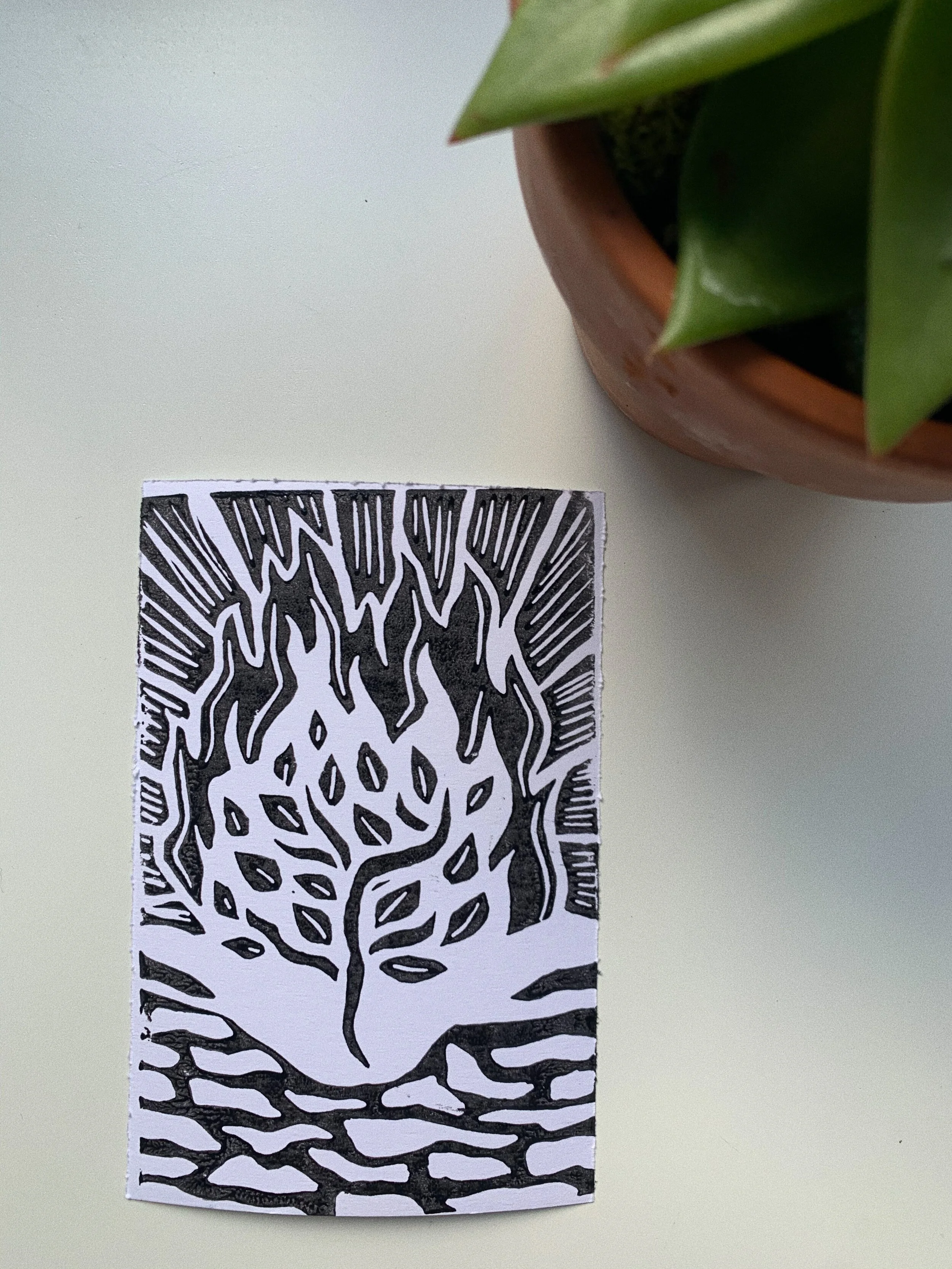 card and plant.jpg