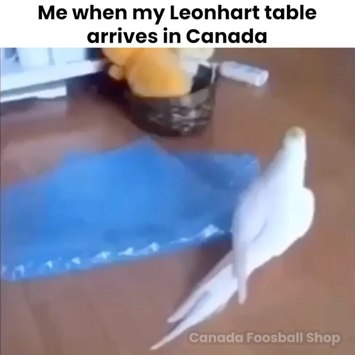 Scroll to see our Leonhart tables arrive to Canada 🇨🇦😍 all the way from Germany 🇩🇪😎! 

It&rsquo;s been months in the making and we are so excited to announce that our Leonhart order has arrived 🤩

A special thanks goes out to those who bought 