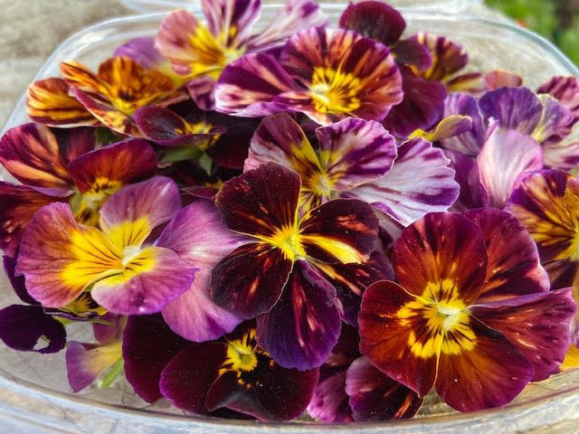 EdibleFlowers4.jpeg