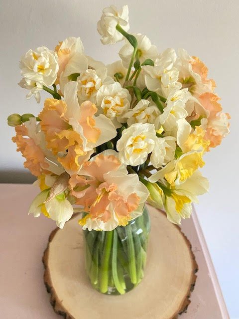 Daffodils4.jpeg