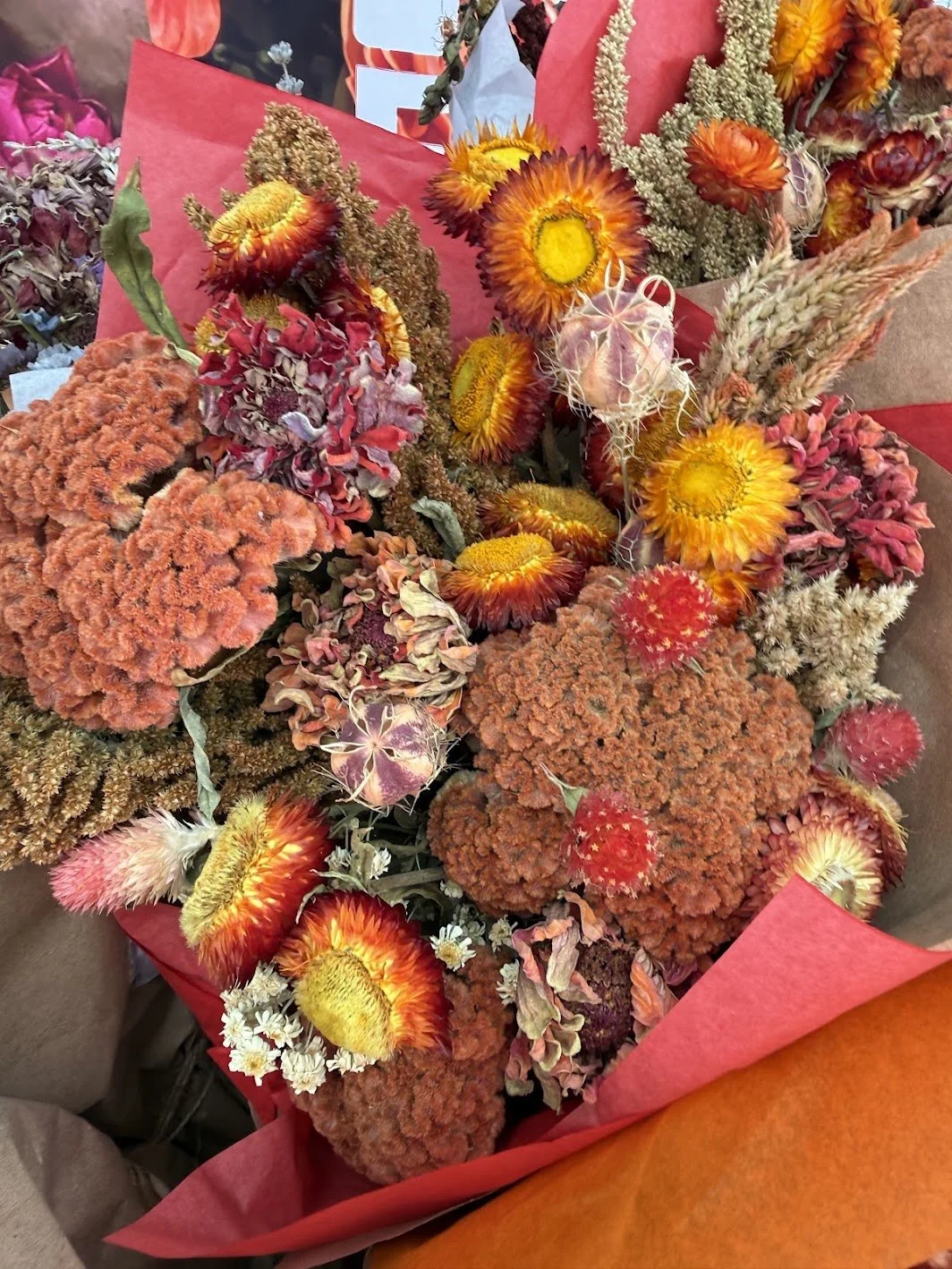 driedflowerslarge2.jpg