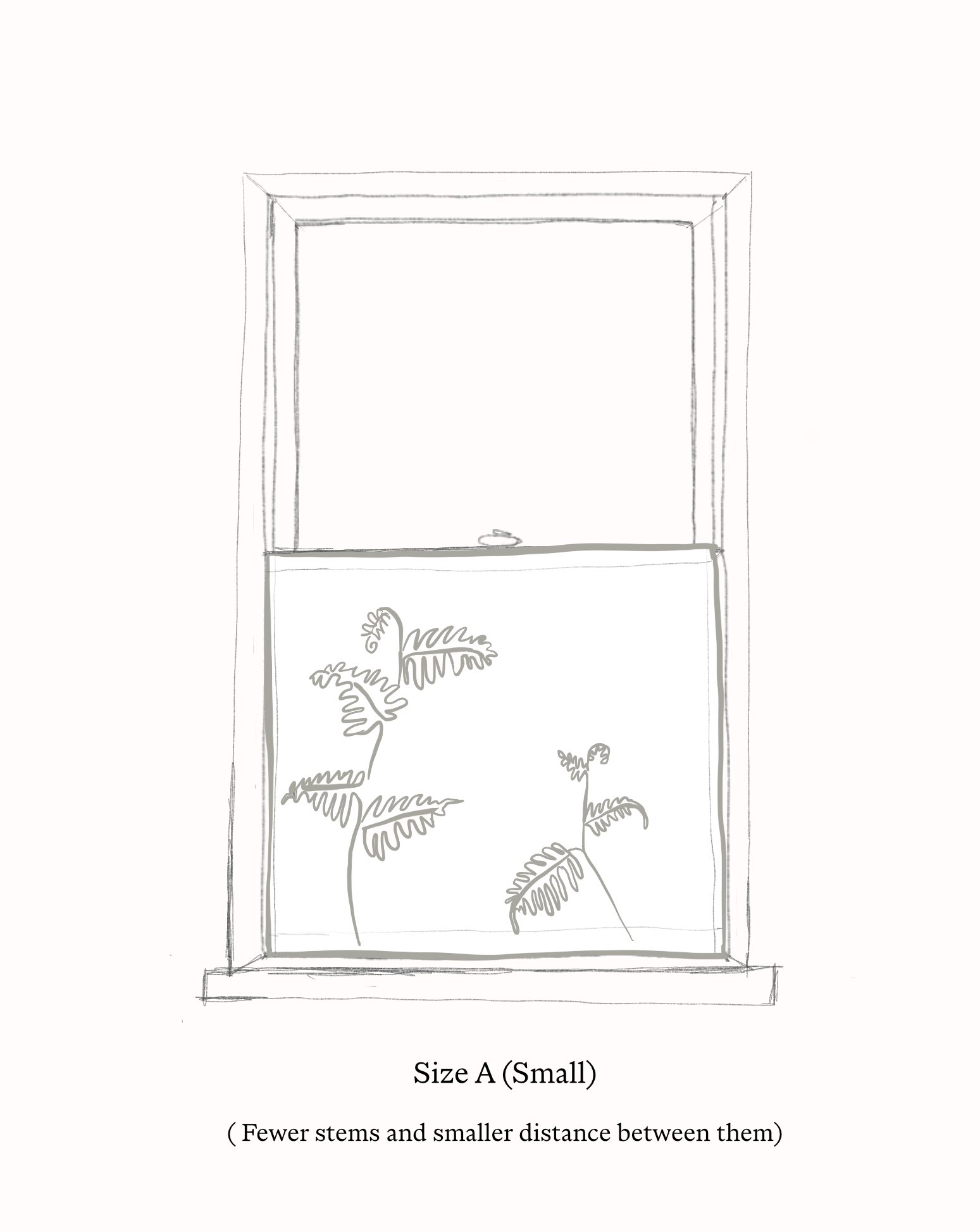 Ferns drawing Size A.jpg