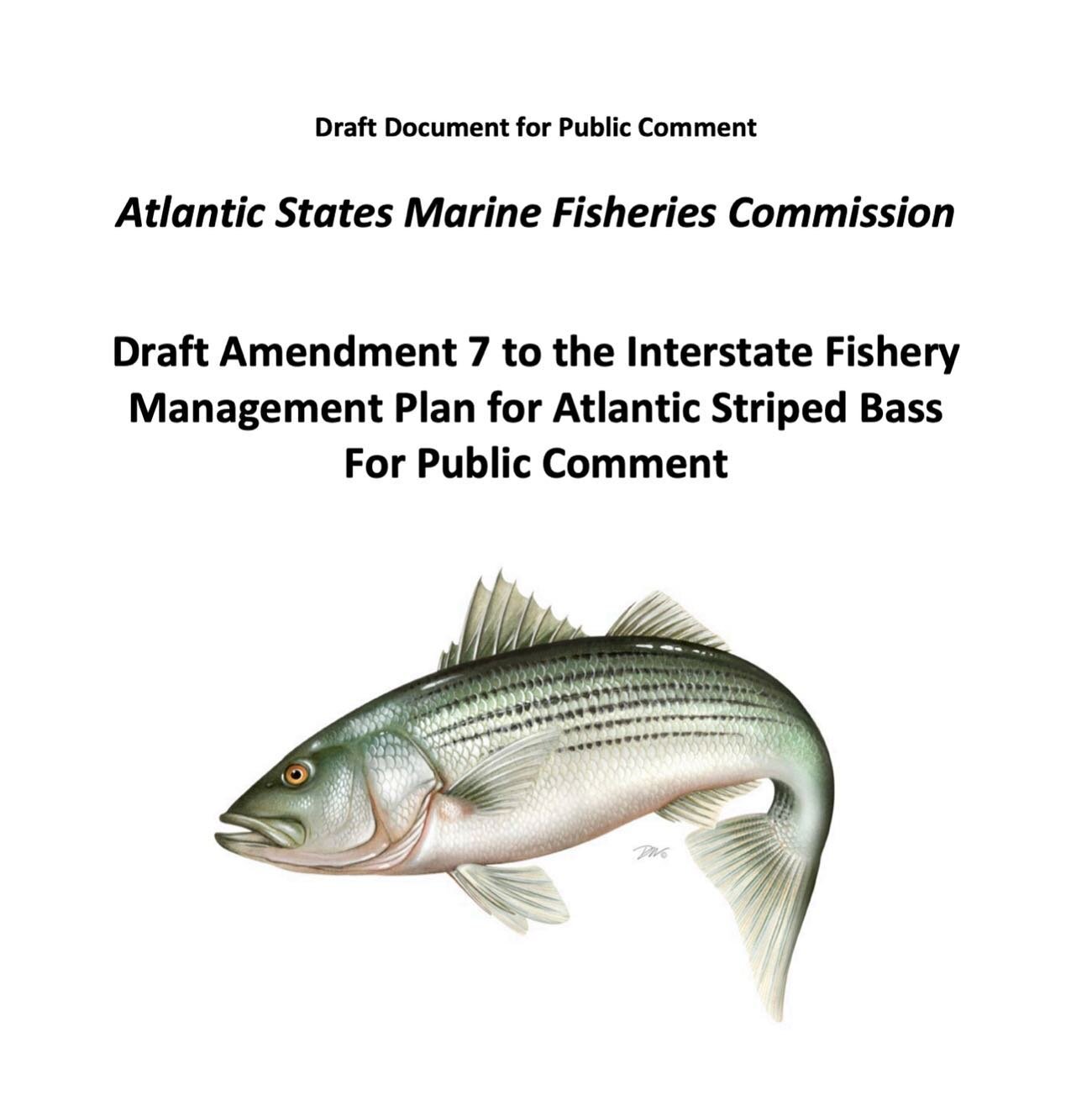 Reminder that you all have UNTIL APRIL 15 to send your feedback to the ASMFC on the draft amendment 7 of the striped bass management plan. This amendment will have an impact of our fishery and all of us fisher-folk for DECADES! We&rsquo;ve taken the 