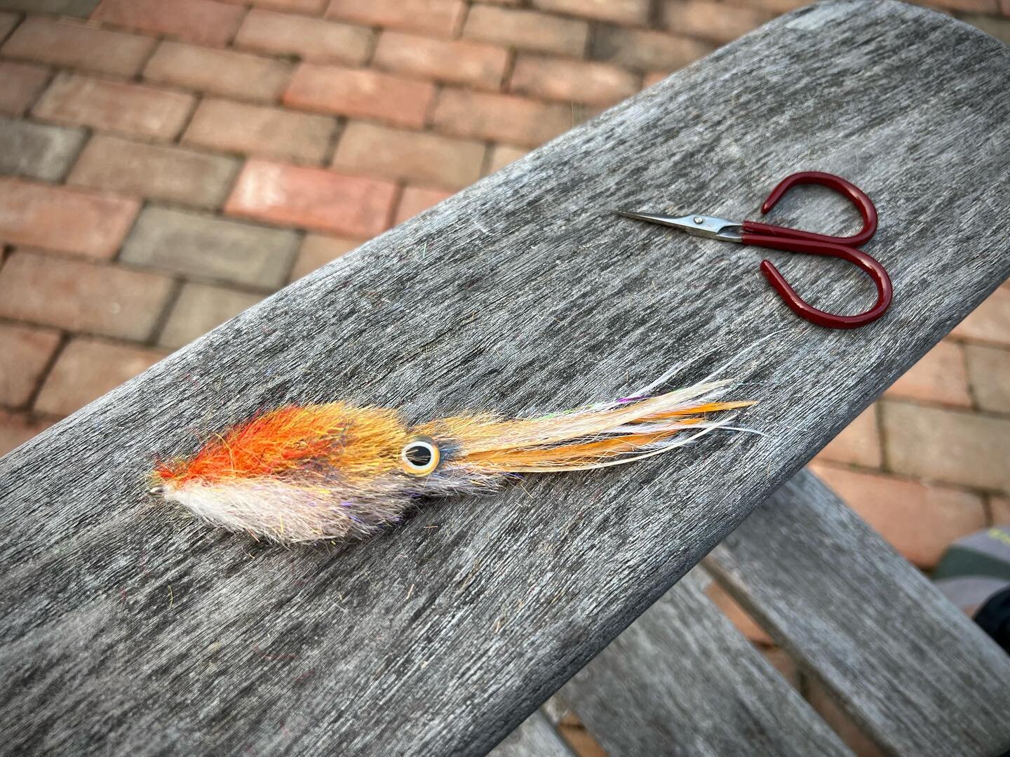 Inspired by @jonnyzking working on my squid game Kinky Muddler style. Thanks to Chris @saltwaterflies for the materials.  Gamakatsu 3/0 with a 35mm shank for length and articulation. SF Blend. #mastersofthefly