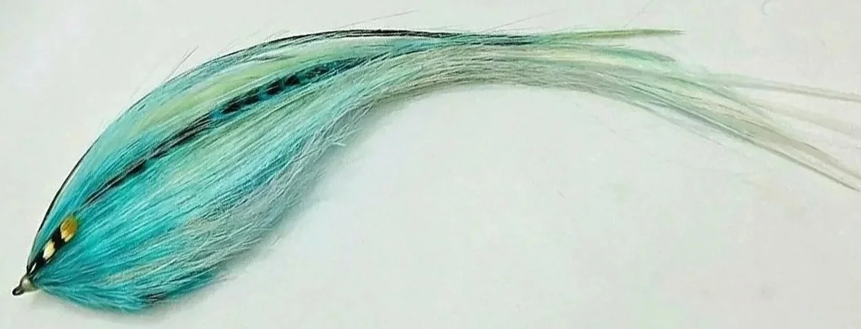 2026 Meet up #2: Dave Nelson: Mr Squimpish