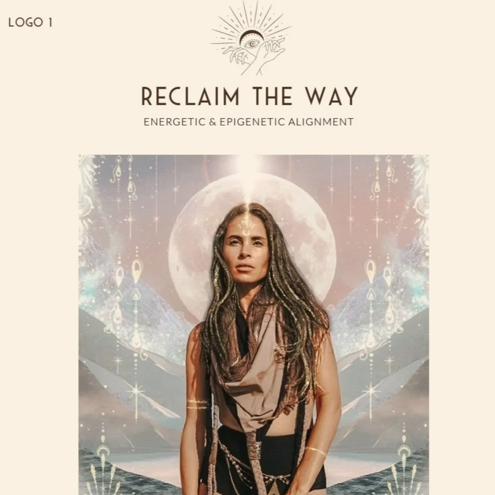 Alignment & Transformation Portal