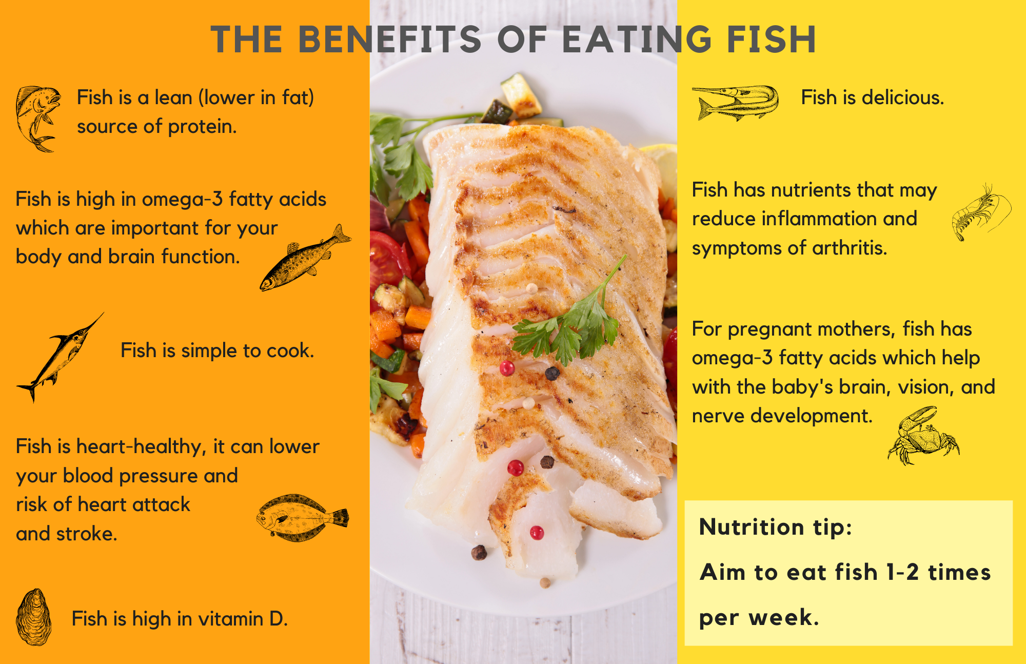 Here’s Why It Isn’t Enough To Only Eat Fish – FFDW