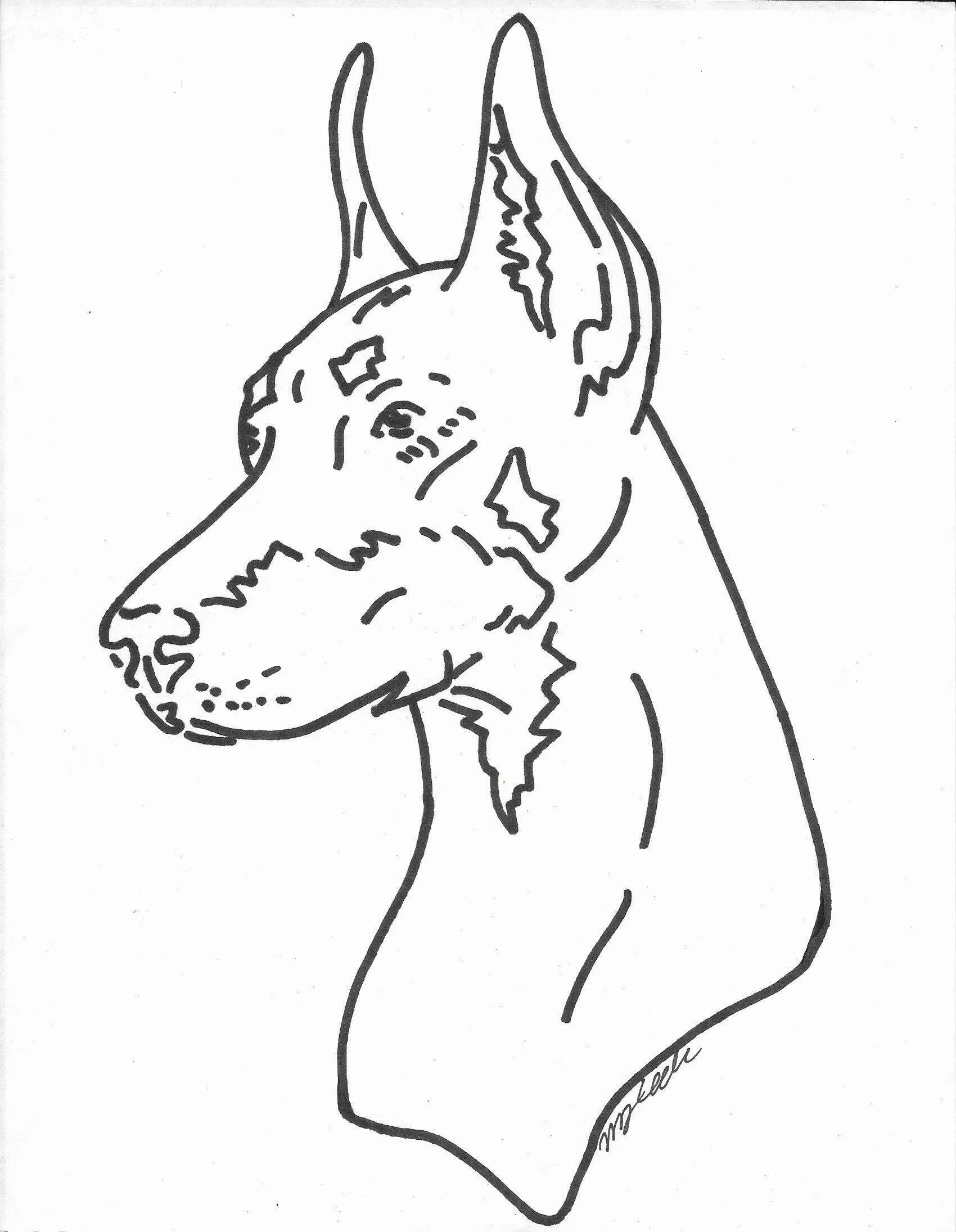 2021-02-02_165333_3 2.jpg