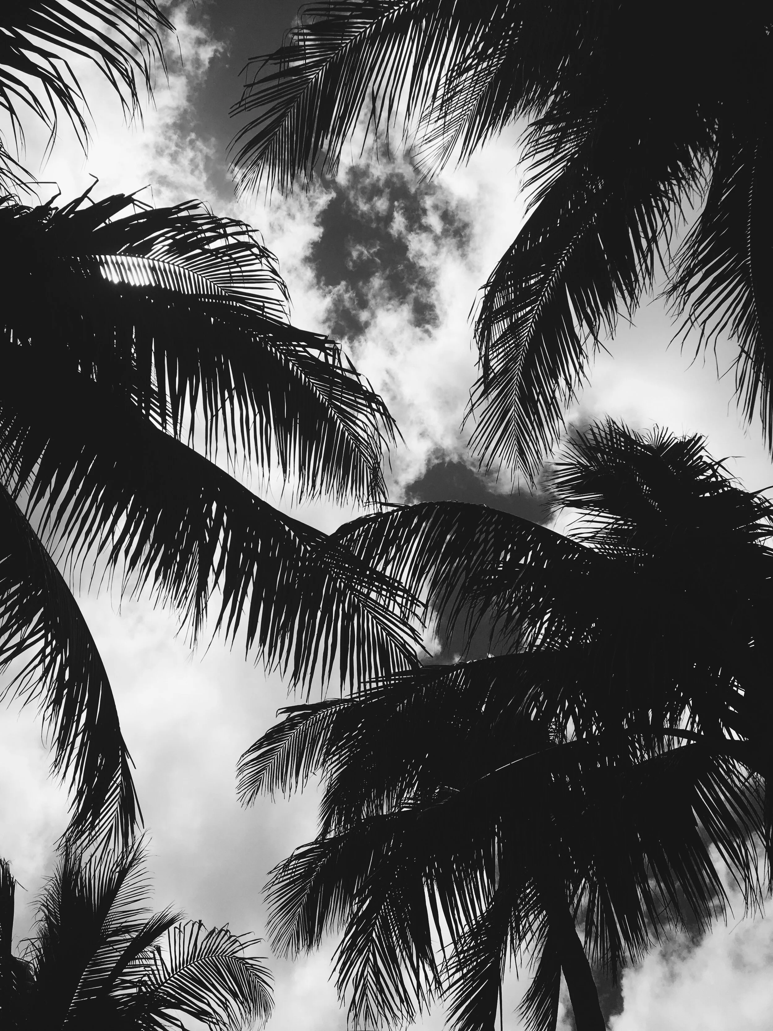 Palm Beach, FL
April 2018