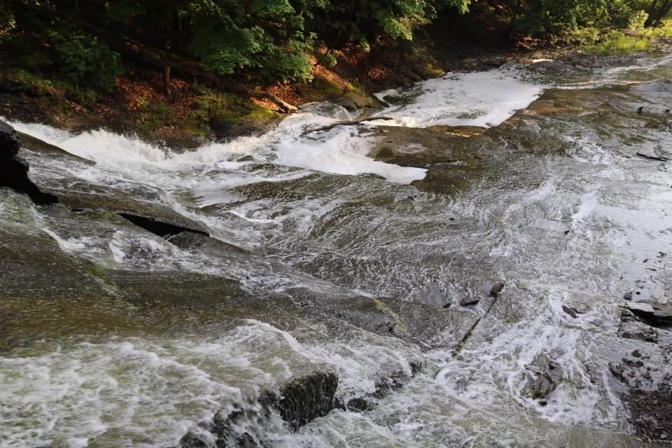 Ithaca, New York
May 2016