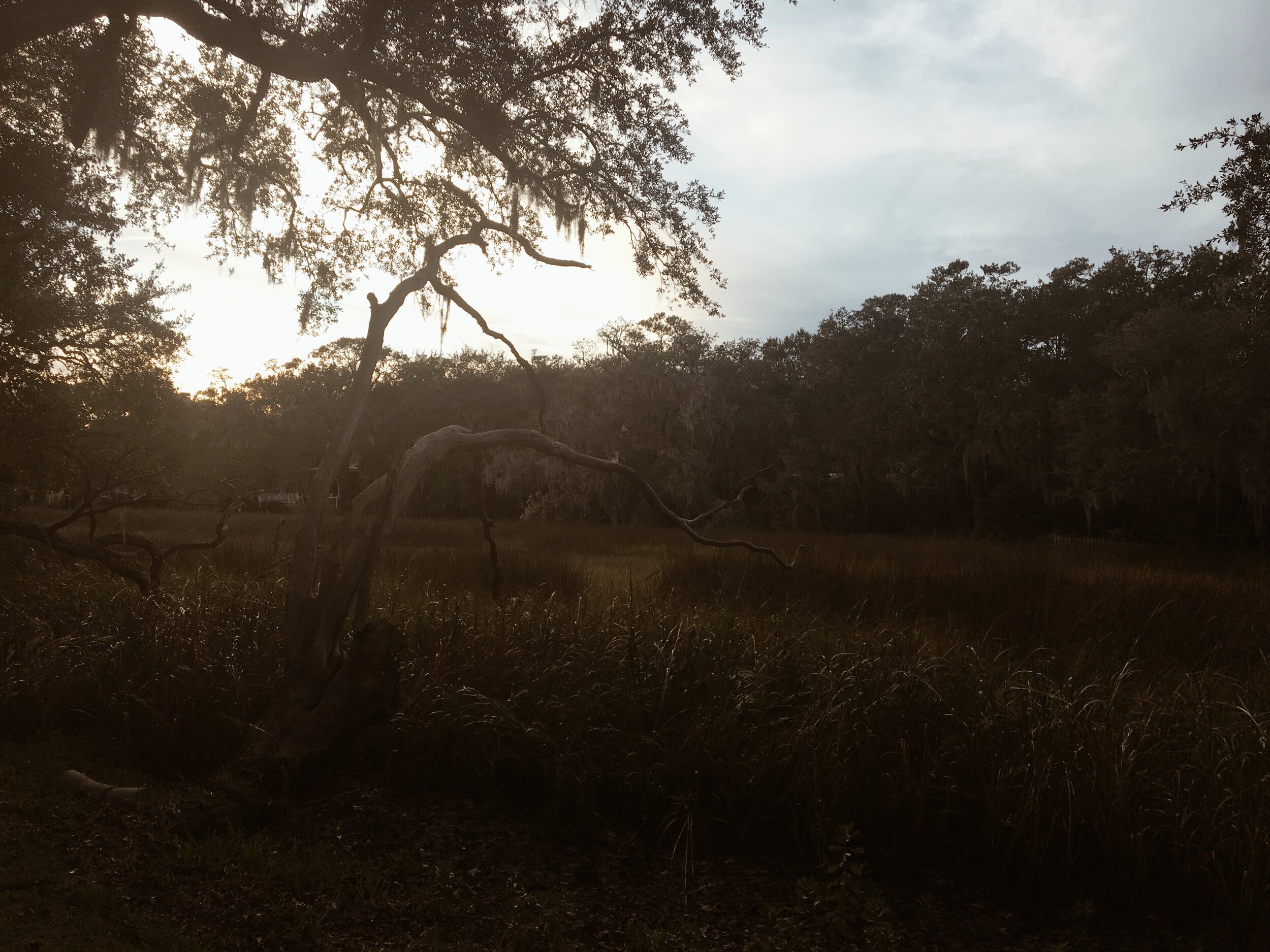Charleston, SC
Oct 2017