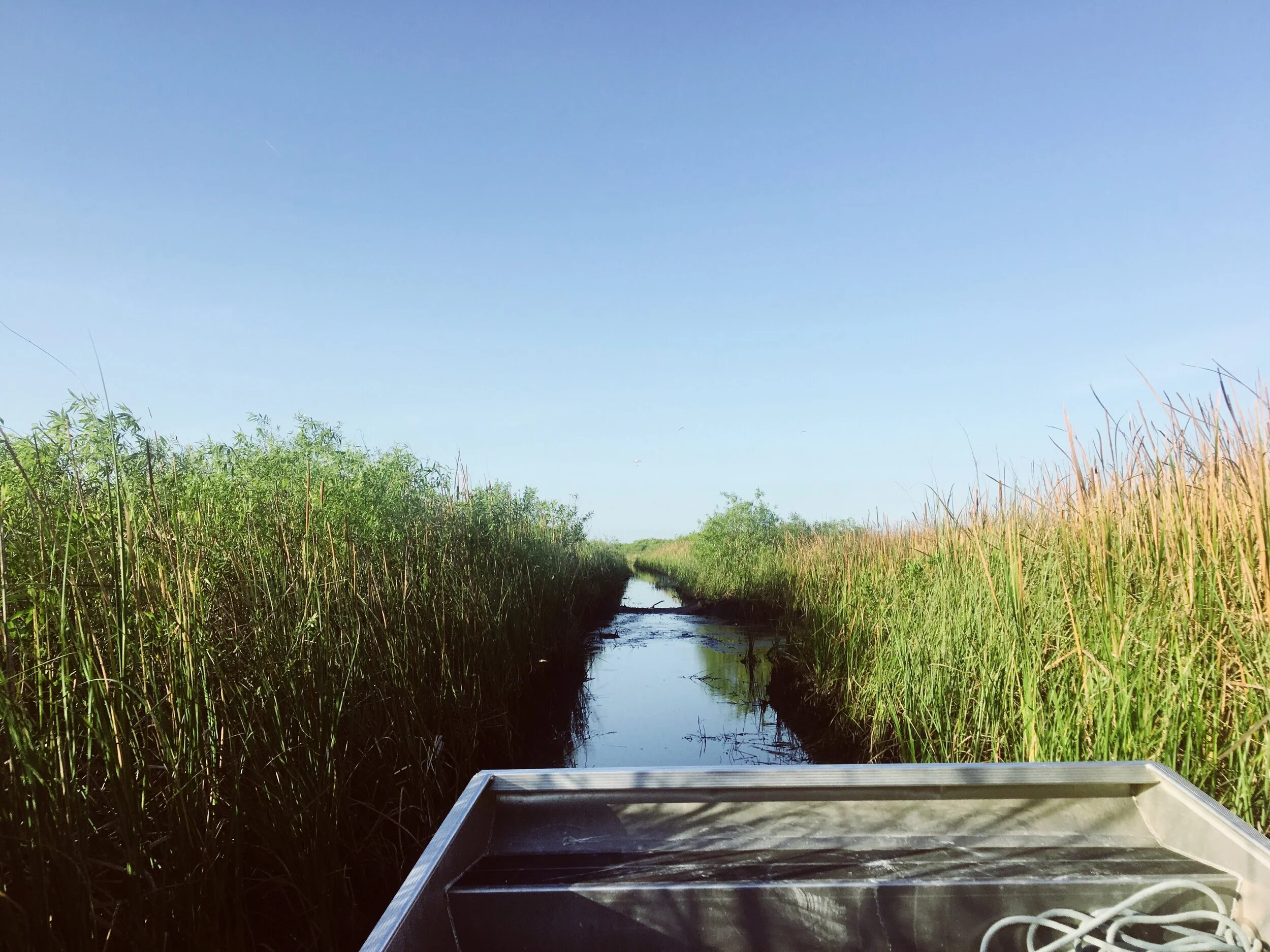 Everglades, FL
Apr 2018