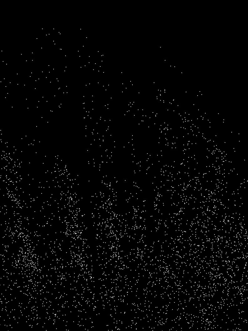 BACK-BW_DOTS.JPG