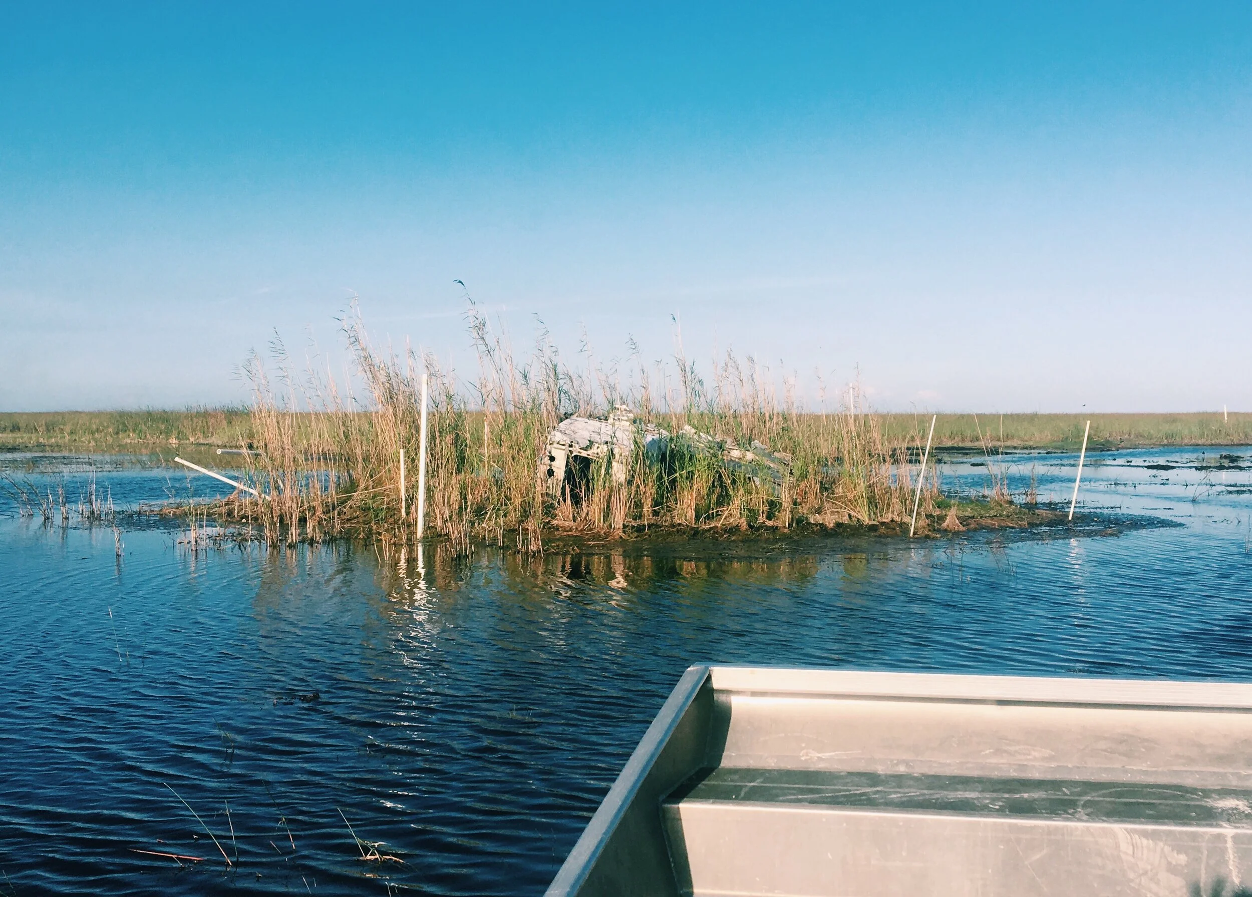 M photo- everglades 4:18.JPG