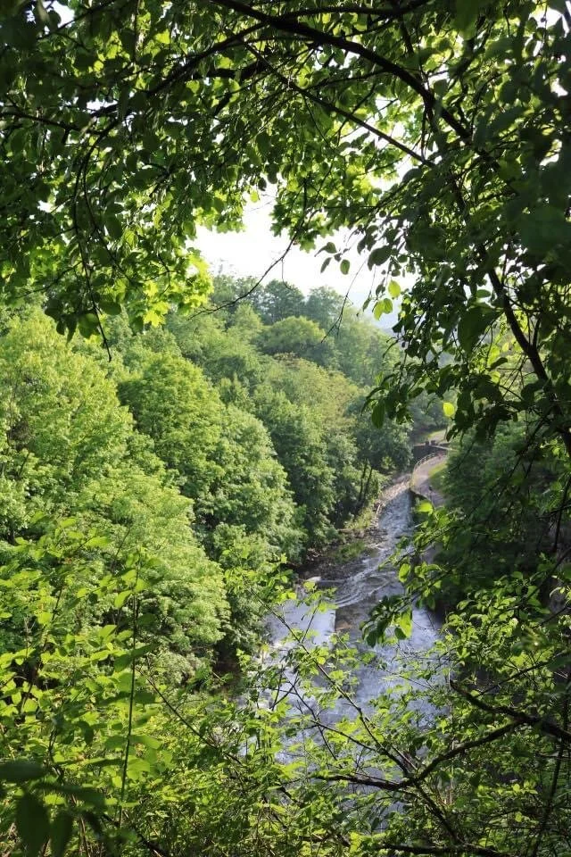 photo- ithaca gorge.JPG