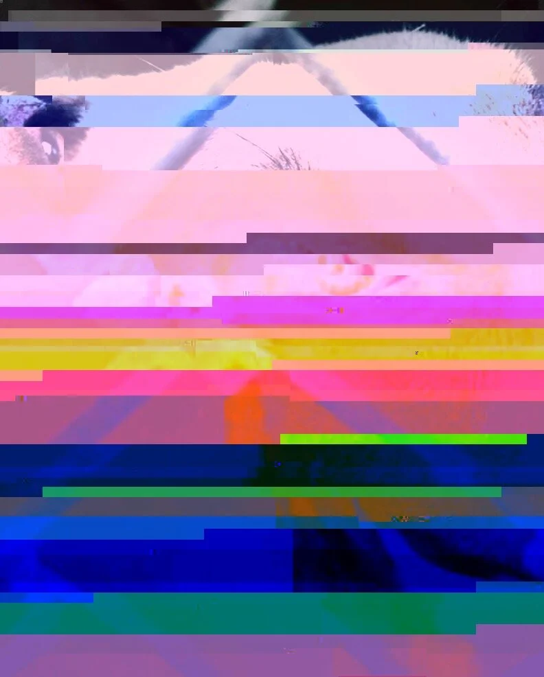 digital- rainbow glitch lines.JPG