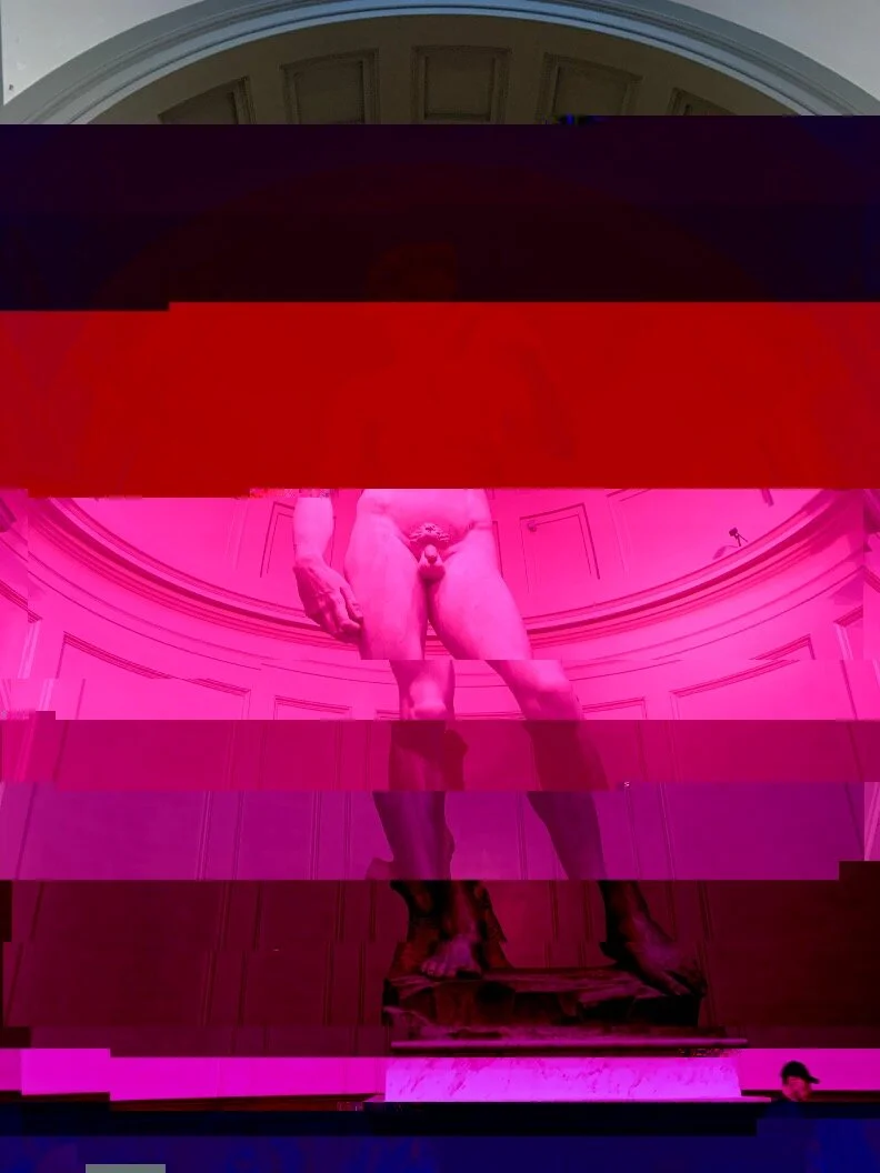 digital- pink david glitch.JPG