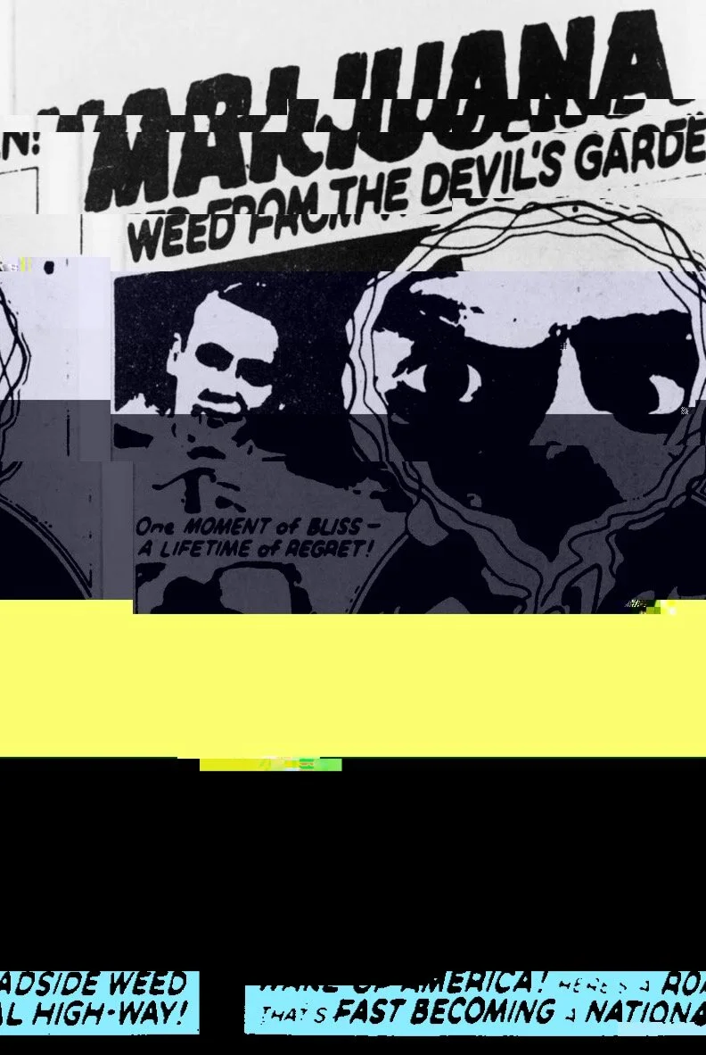 digital- reefer poster glitch.JPG