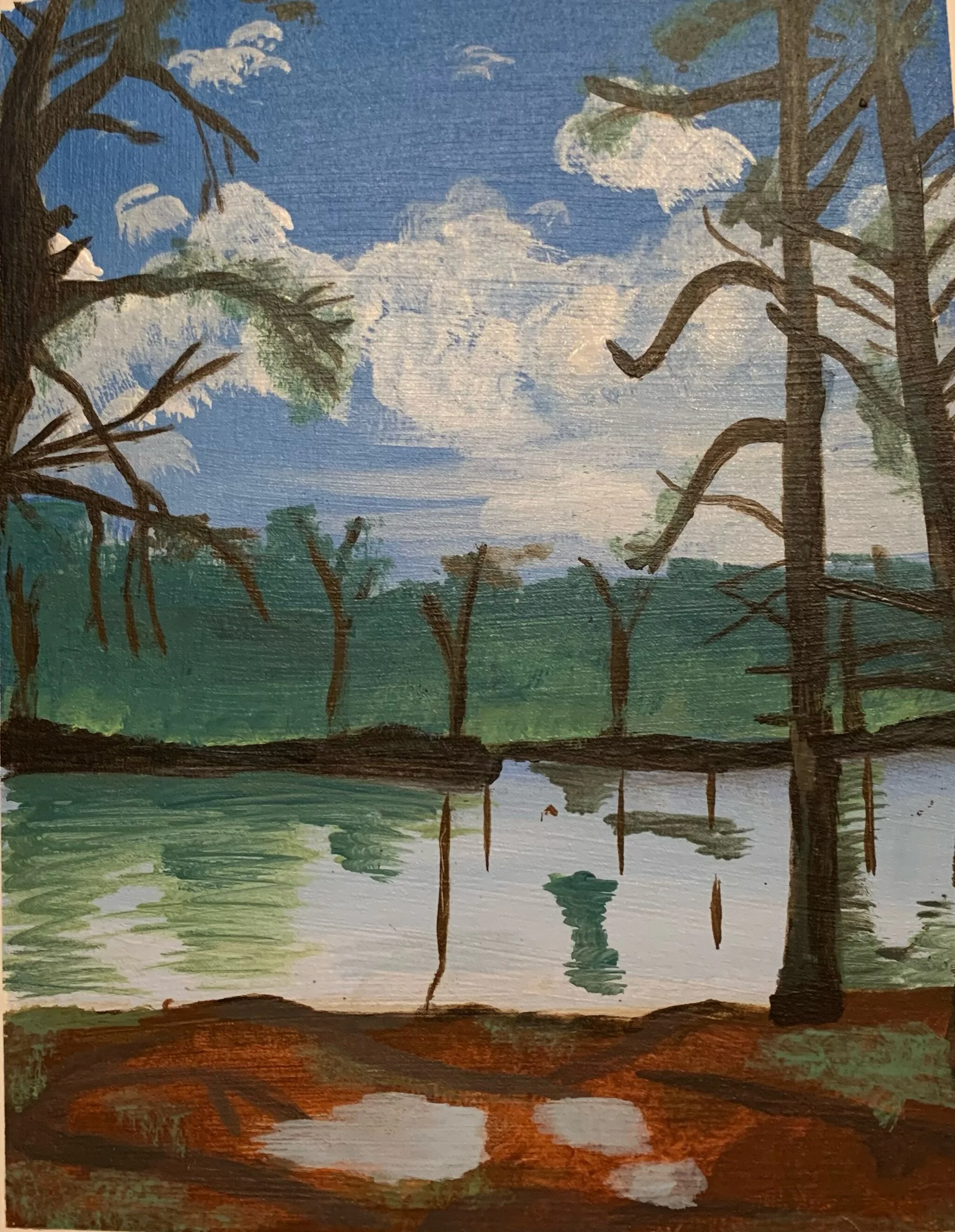 audubon painting.jpeg