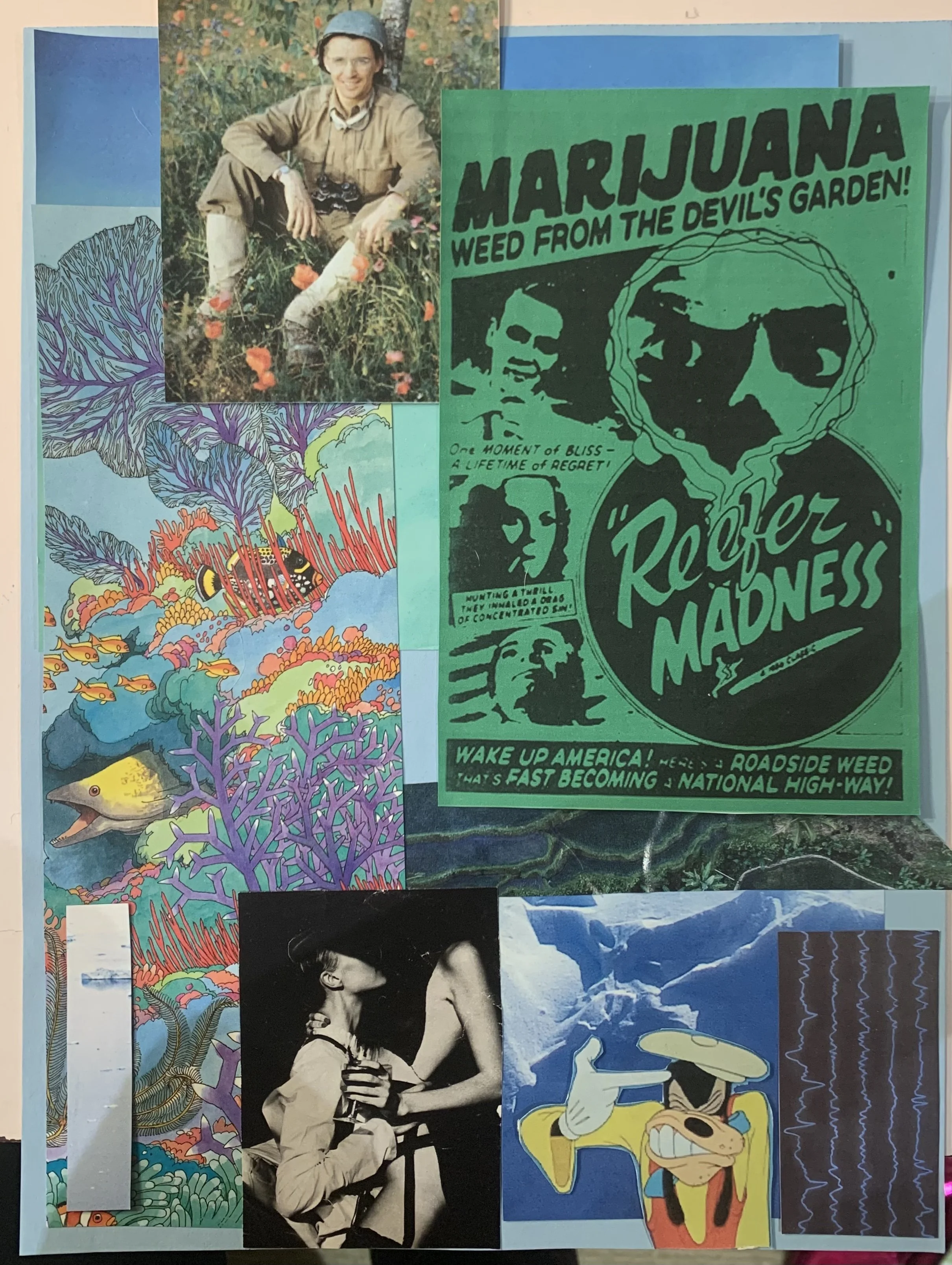 collage 6.jpg