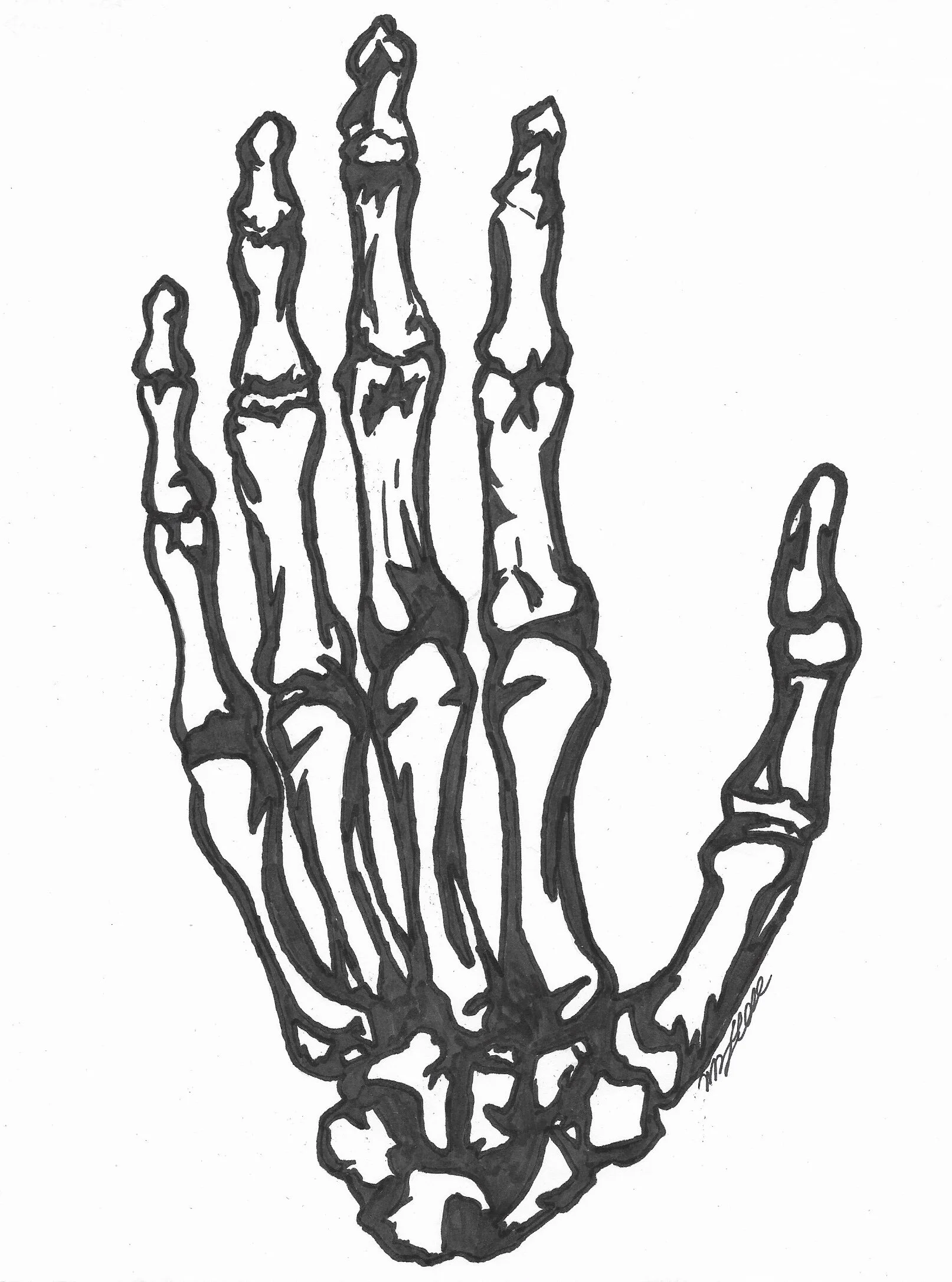 skeleton hand drawing.jpg