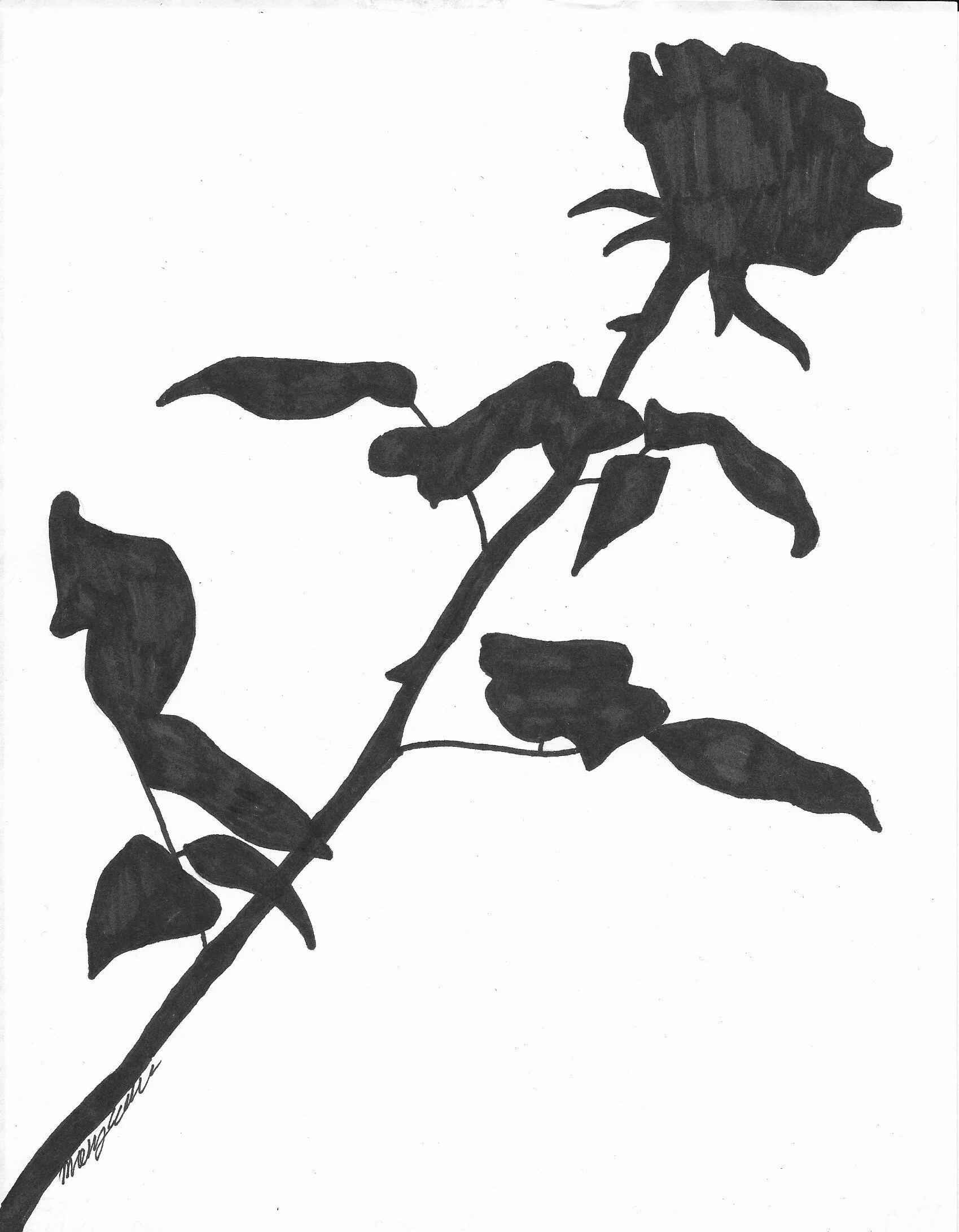 rose drawing.jpg