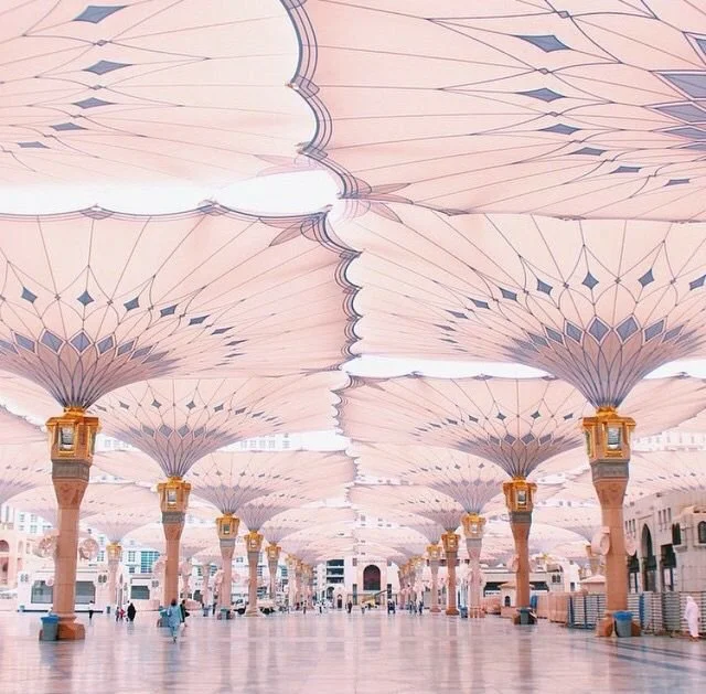 Growing into the Role: Learning from Lana