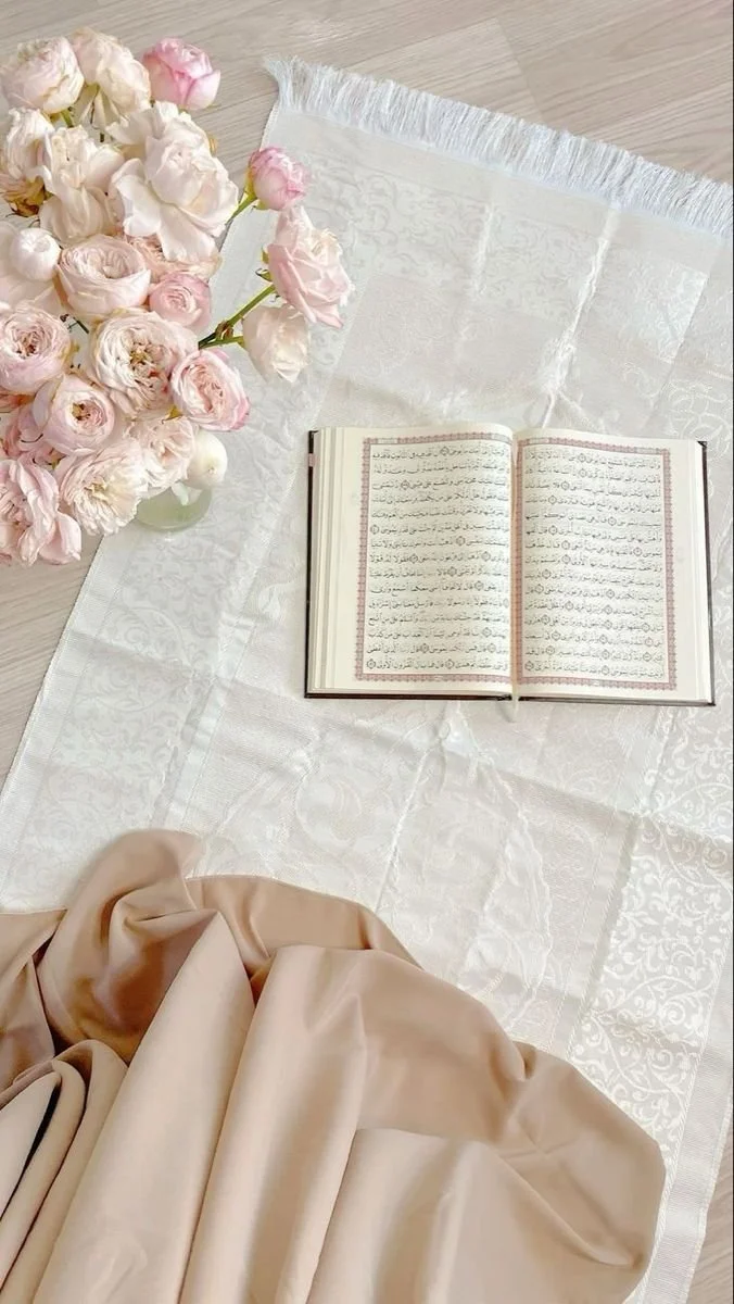 Introduction to the Team: Tasnim 