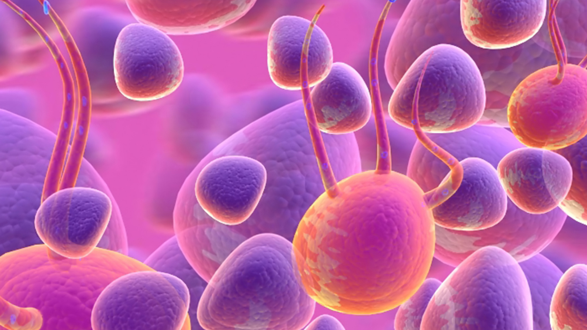 TrueScience® Liquid Collagen is a Key for Cellular Health