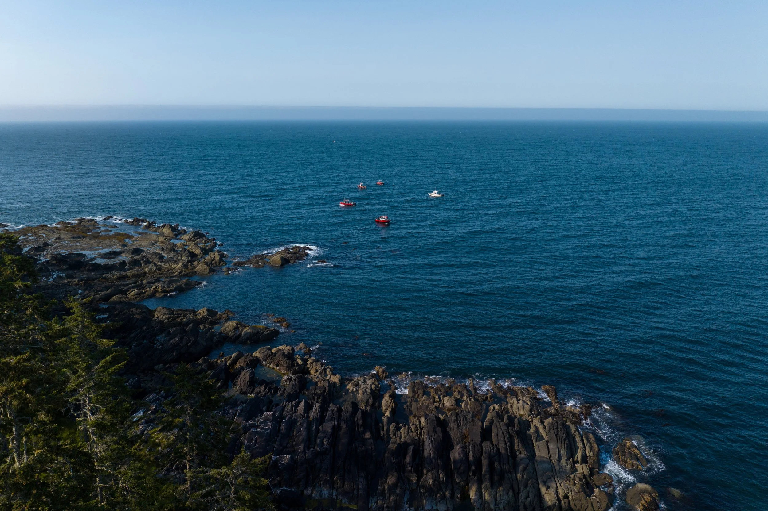 DJI_20240805180159_0055_D.jpg