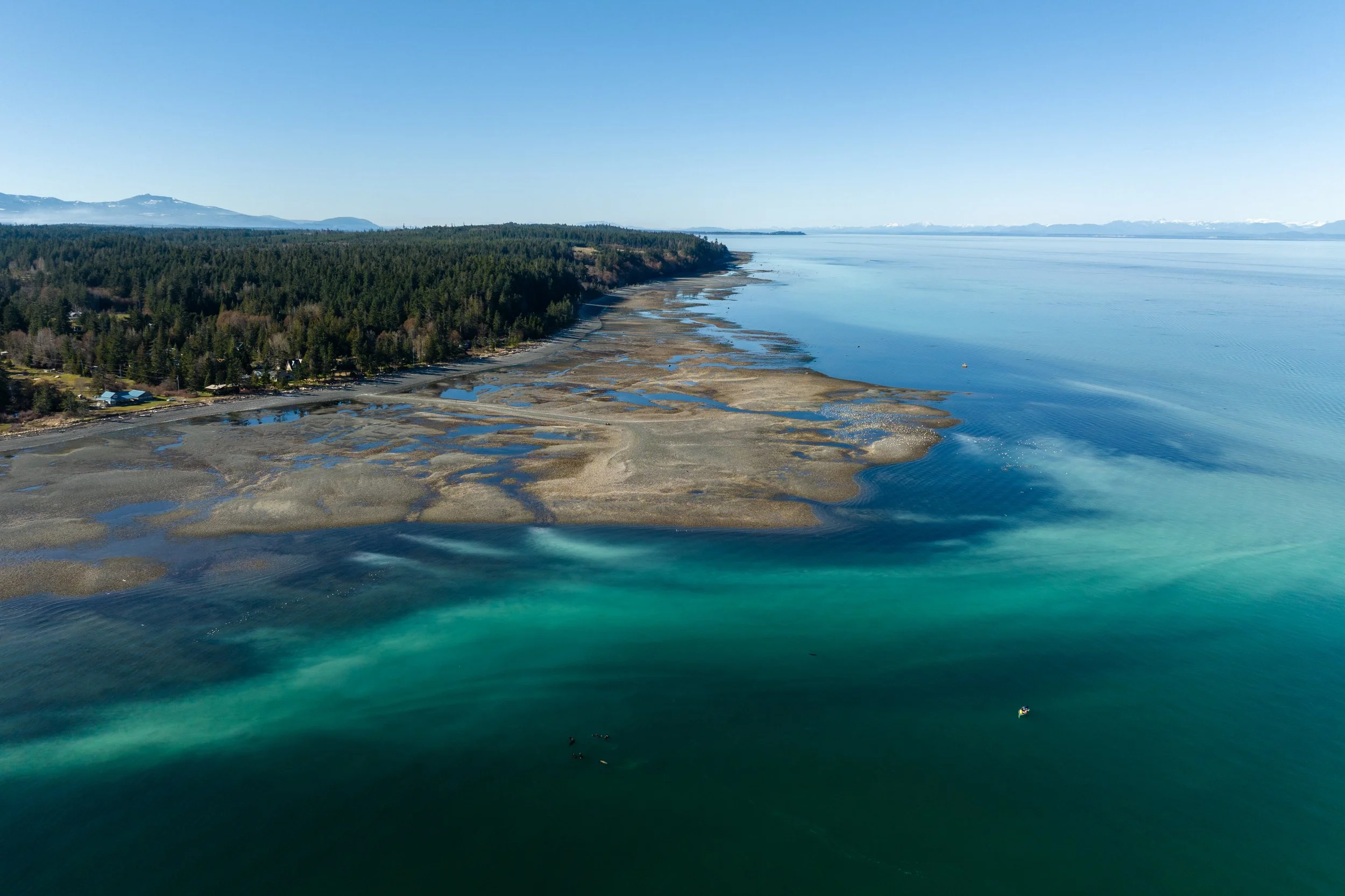 DJI_20240316163336_0210_D.jpg