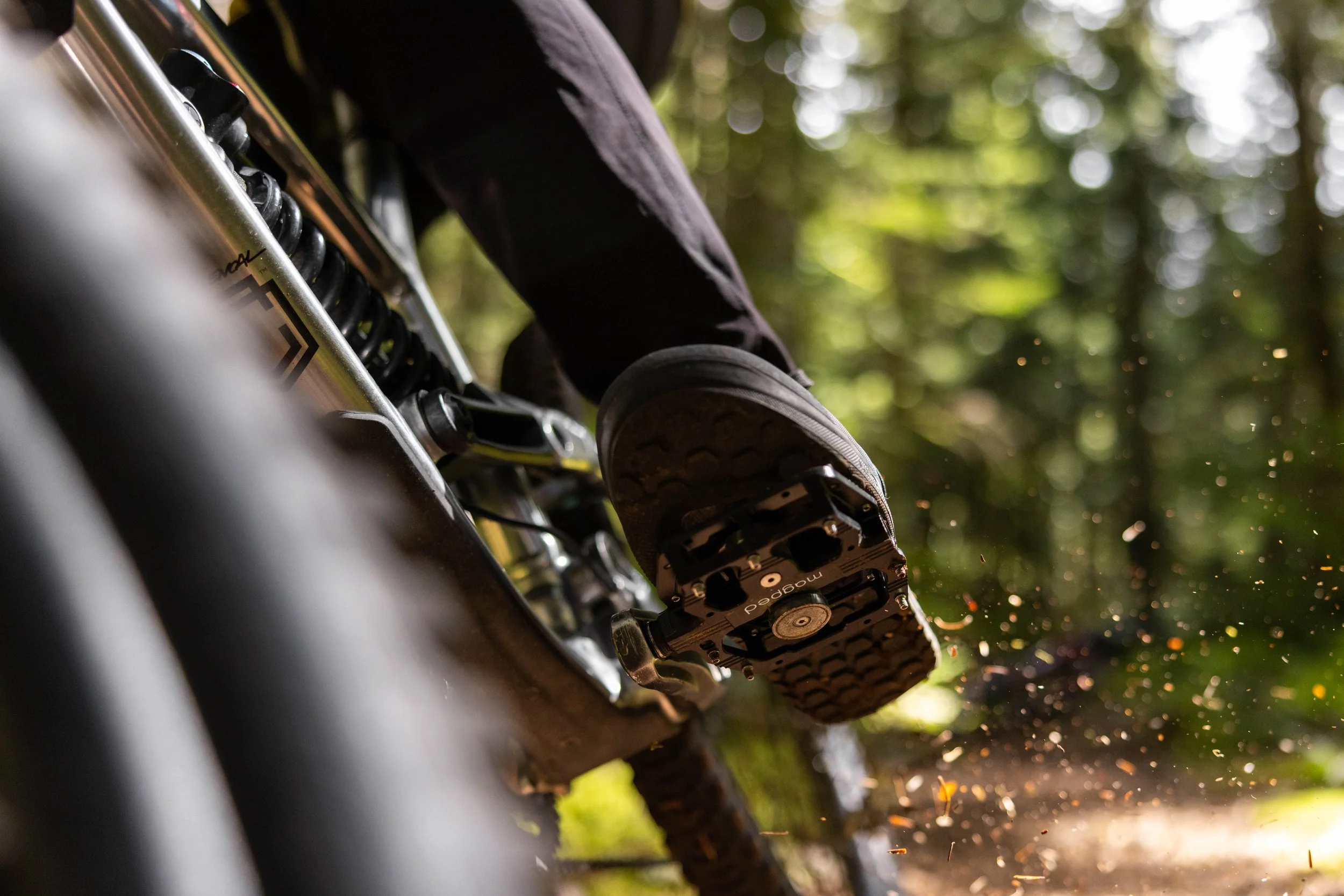 662A8595-Edit.jpg